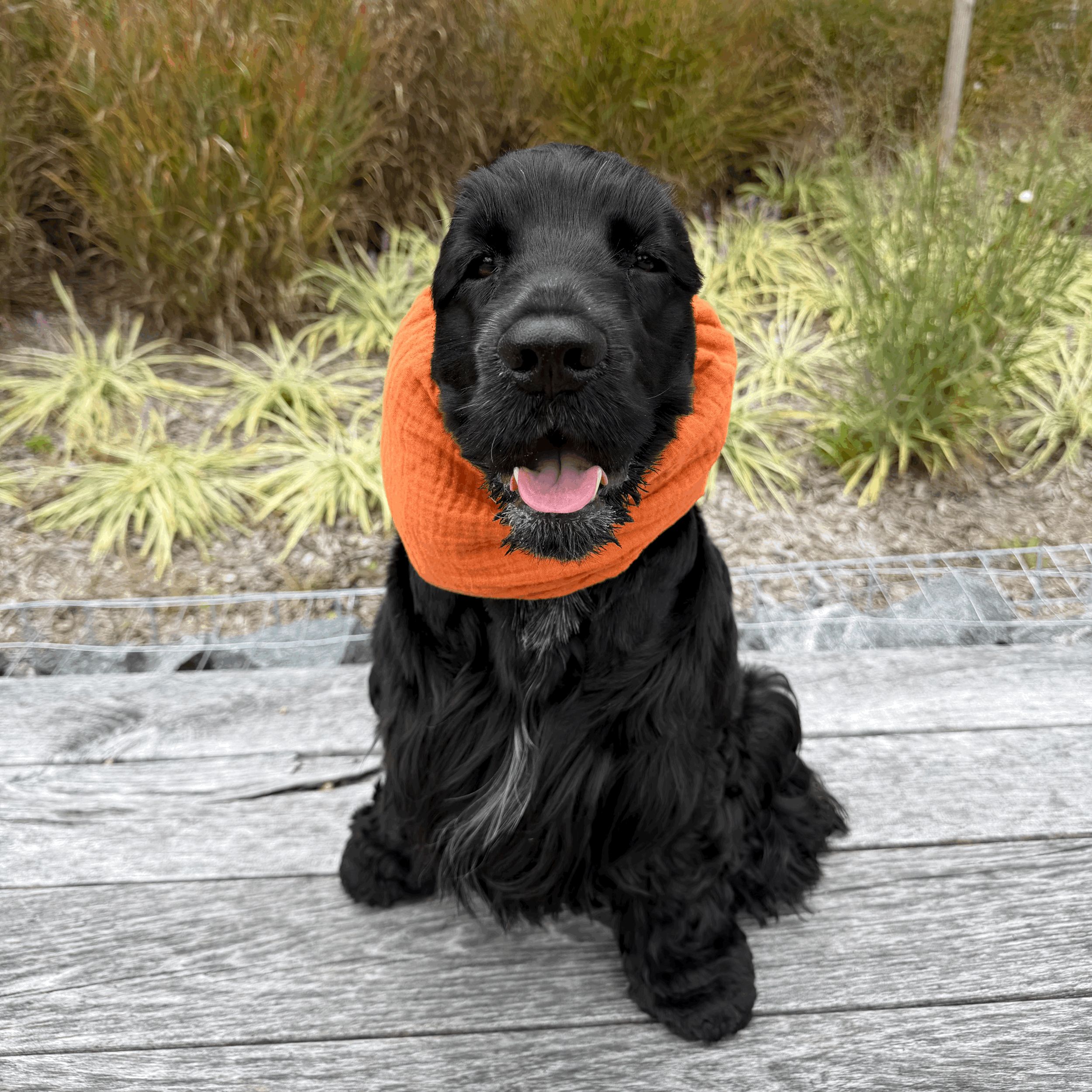 Snood 015