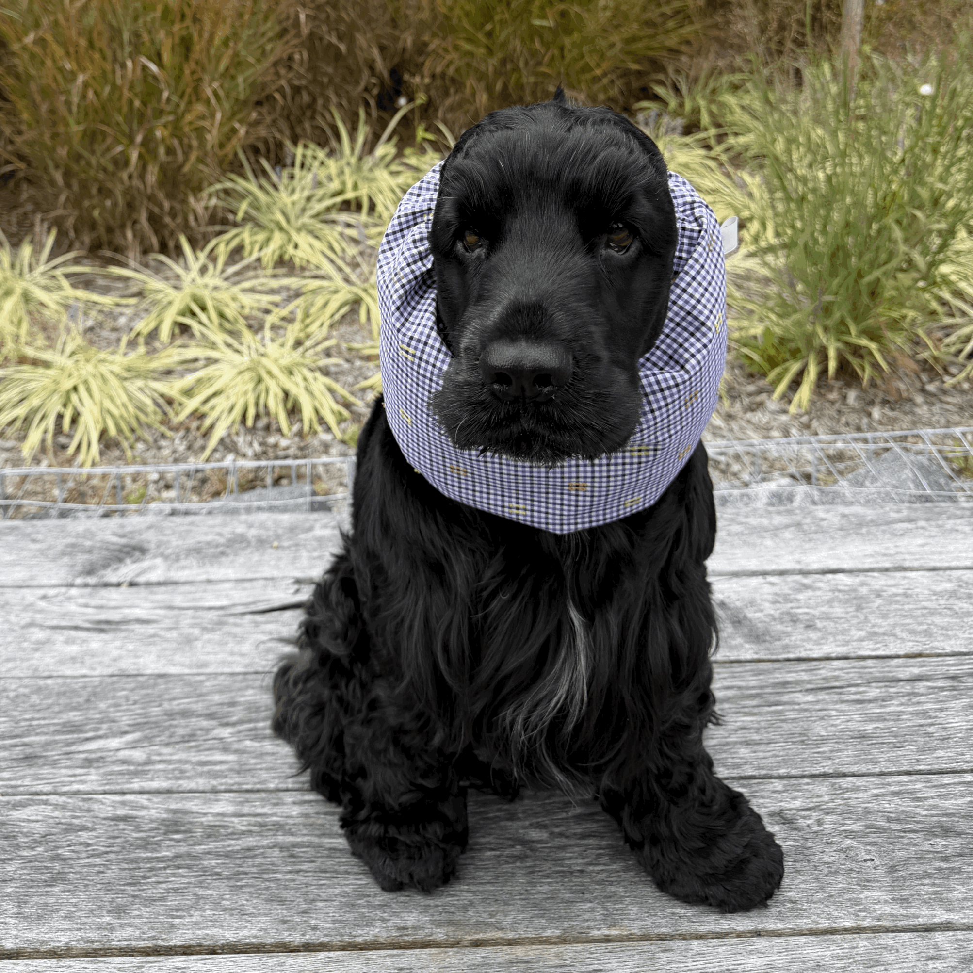 Snood 016