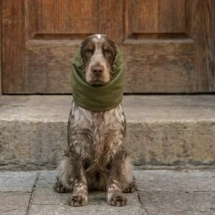 Snood 003