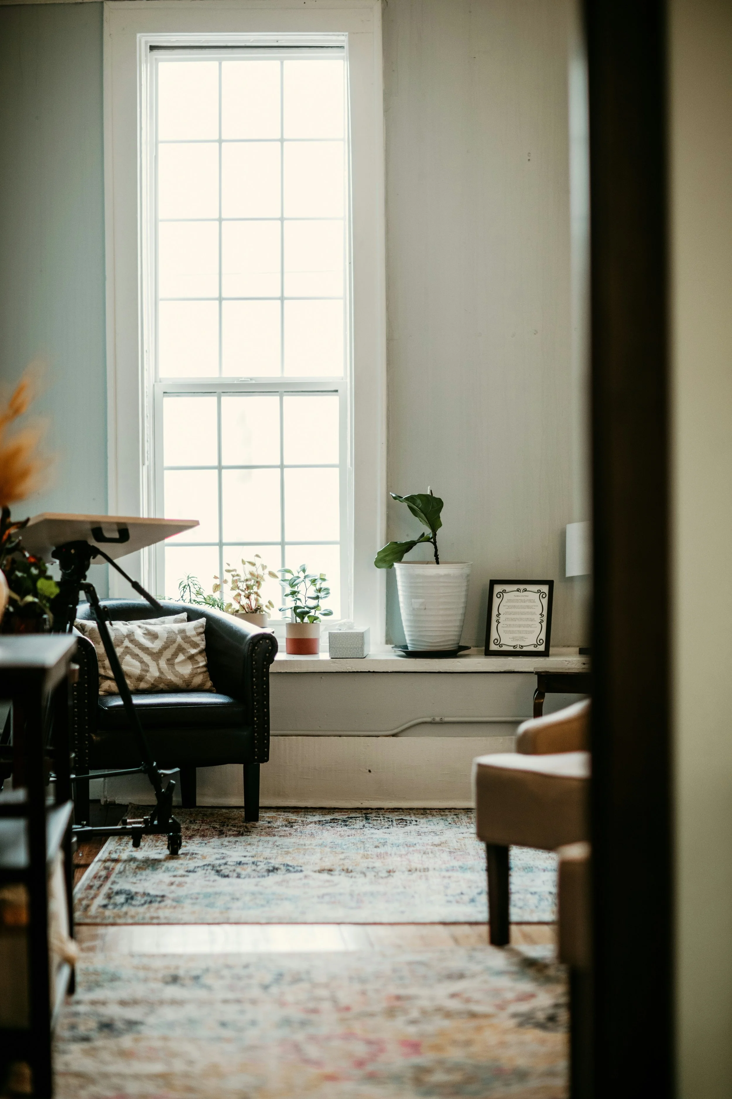 Interior view of a room with a large window, a black upholstered sofa with beige pillows, potted plants on the windowsill, a framed certificate or document leaning against the wall, and a patterned rug on the floor.