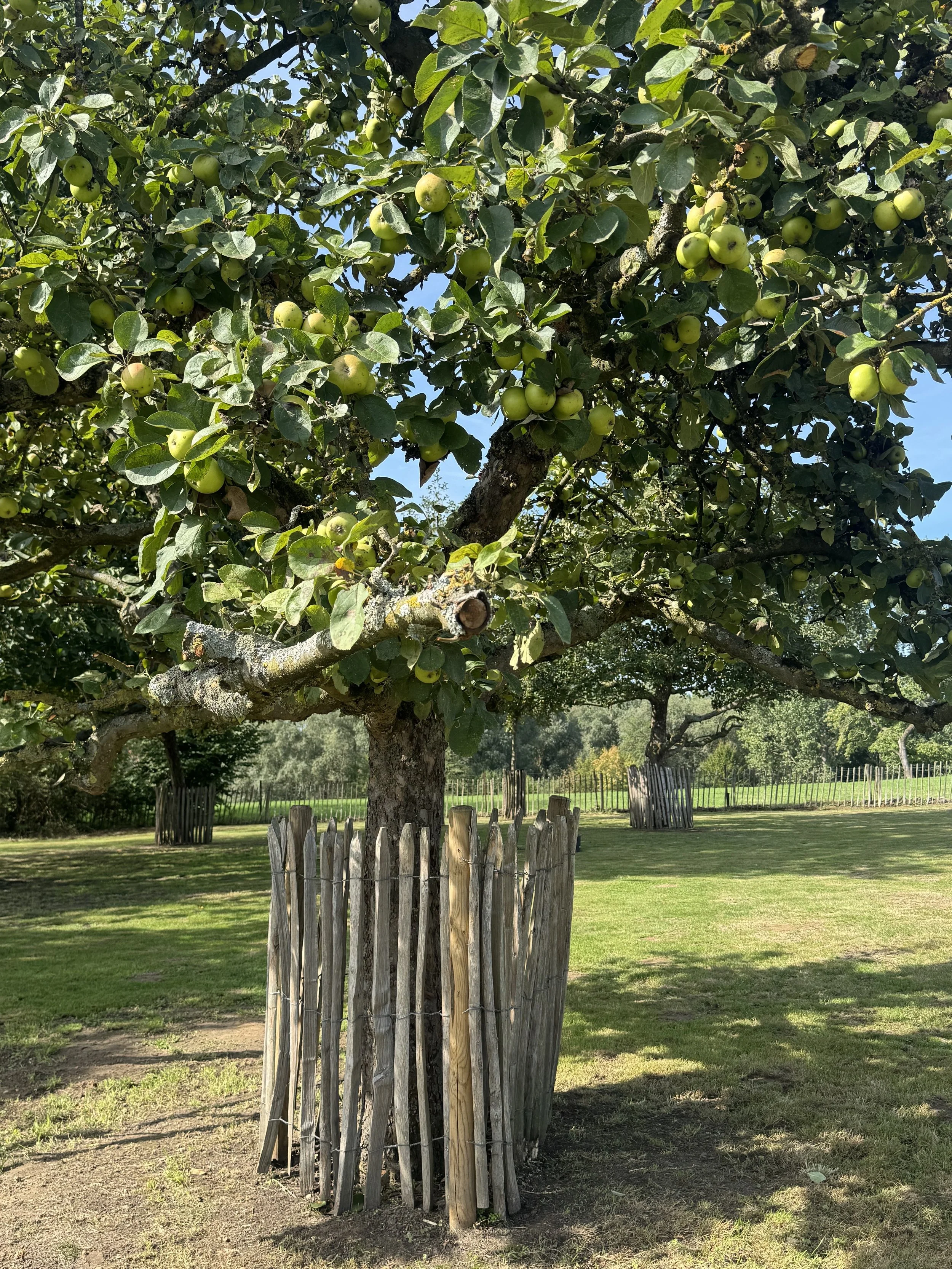 Tuin in Pepingen