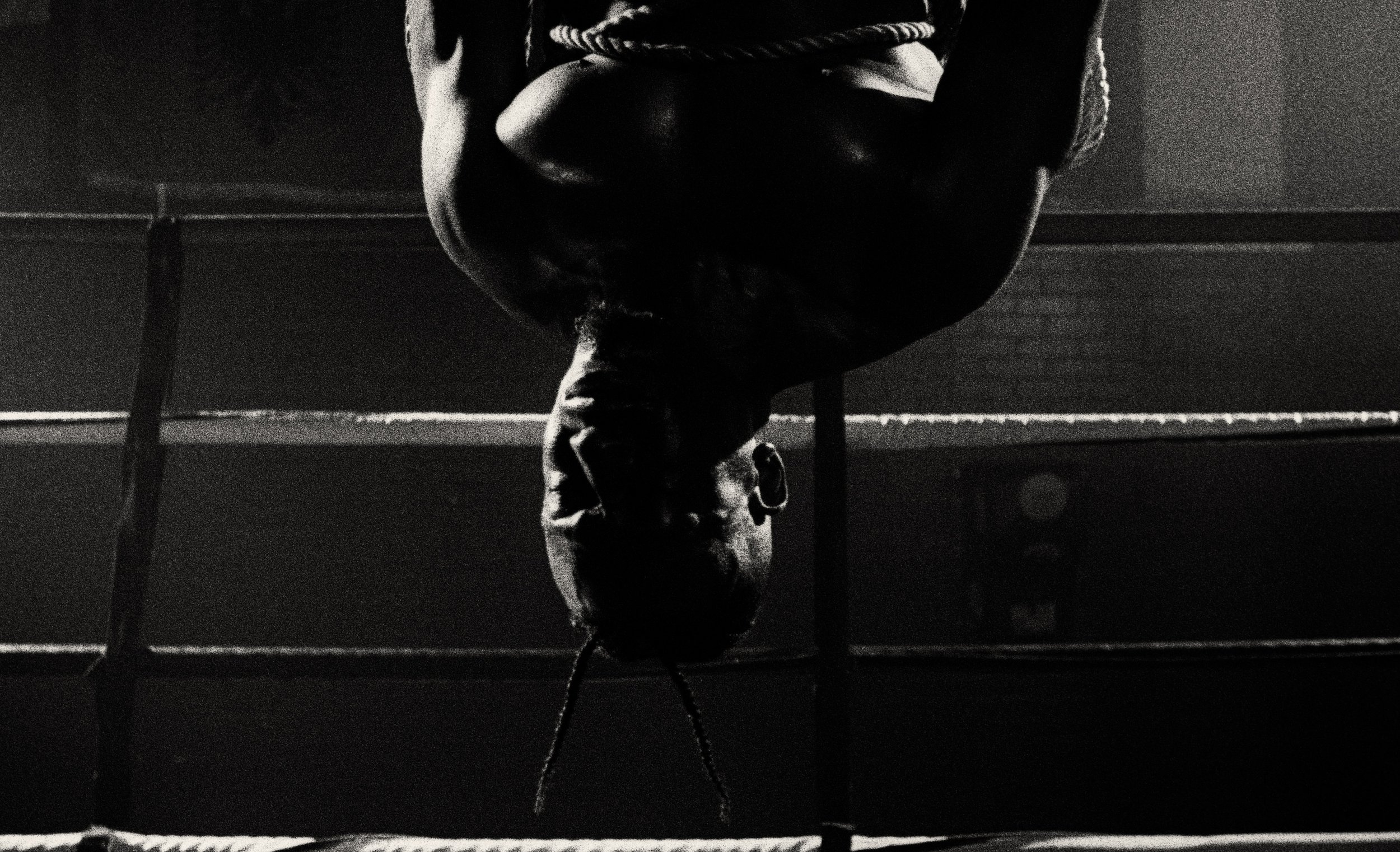 Punching Bag