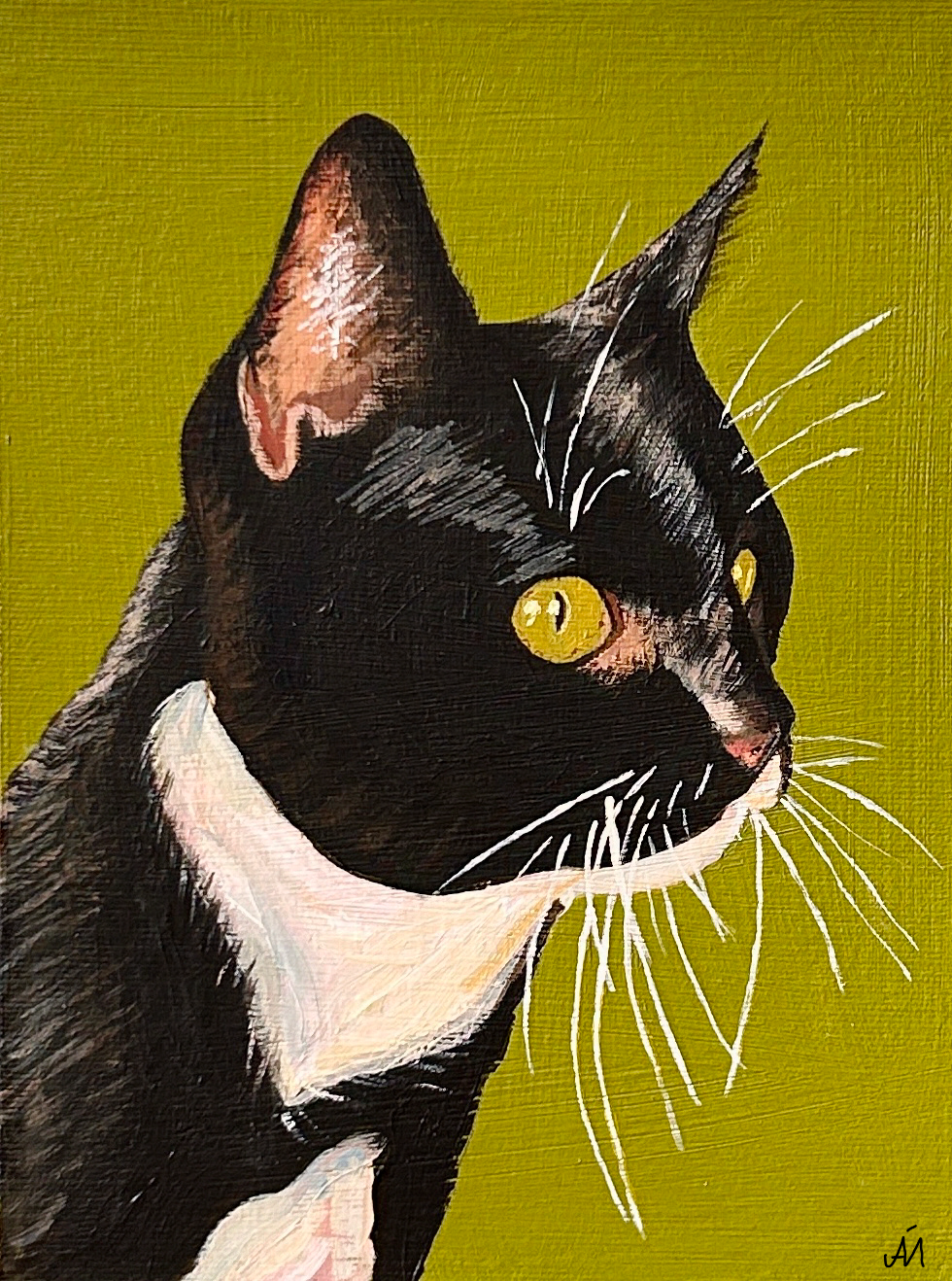 Ein schwarz-weiße Katze mit gelben Augen vor grünem Hintergrund, porträtähnliche Aufnahme