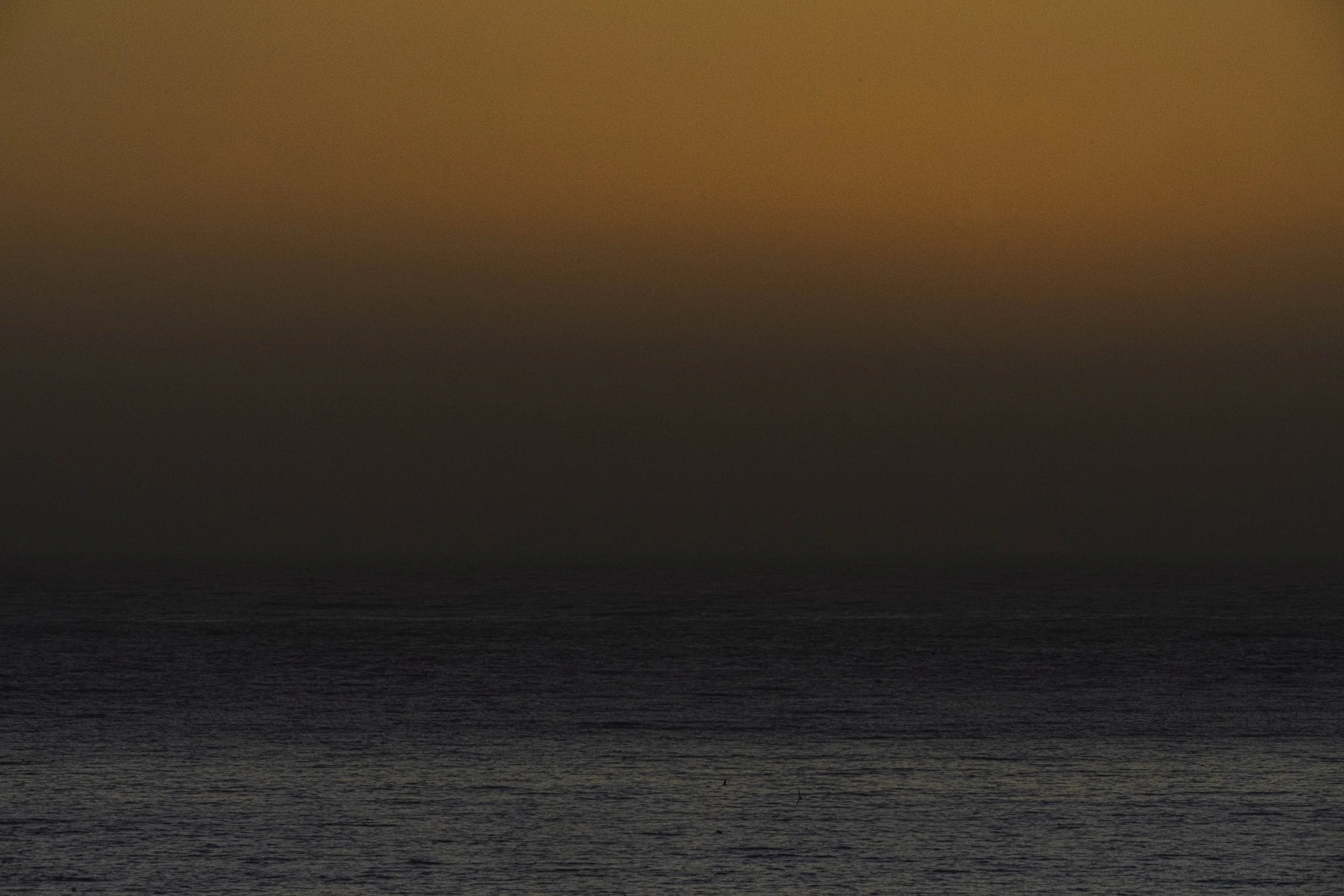 W_ZL - Gradient Sunset copy.jpg