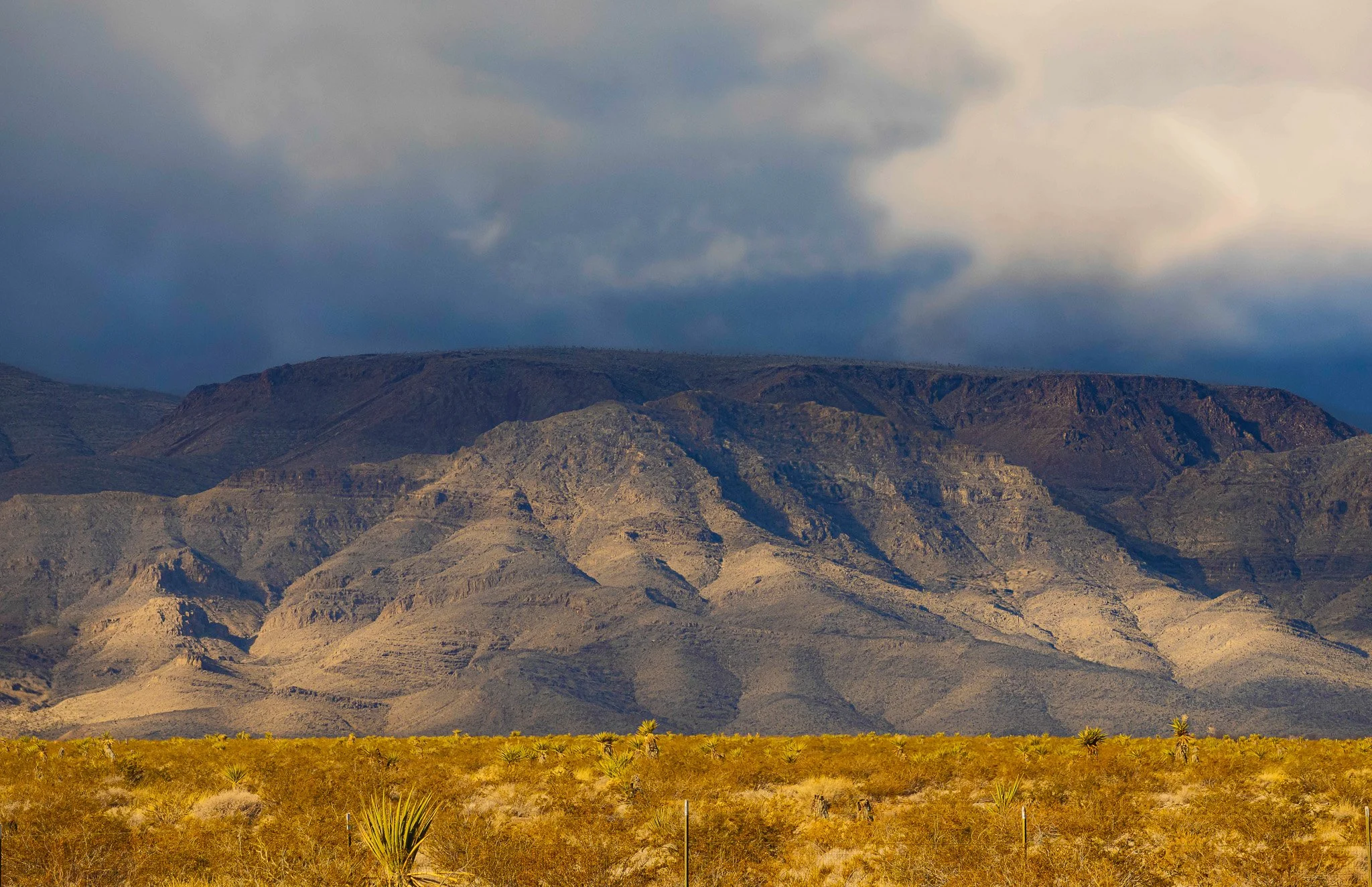 W_ZL - Nevada Mesa Focus Stack - 2023 copy.jpg