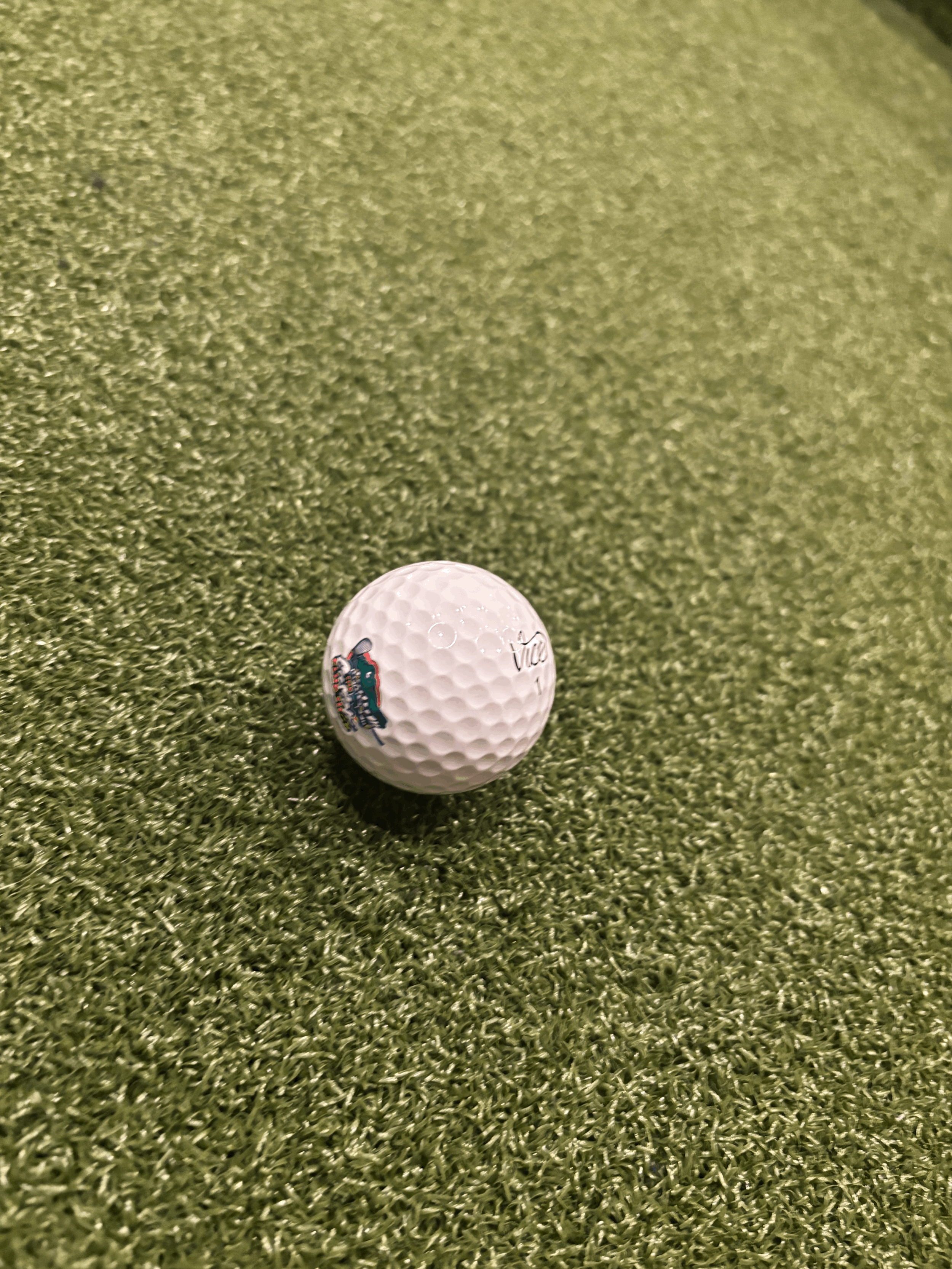 Vise Pro Dozen Golf Balls with logo