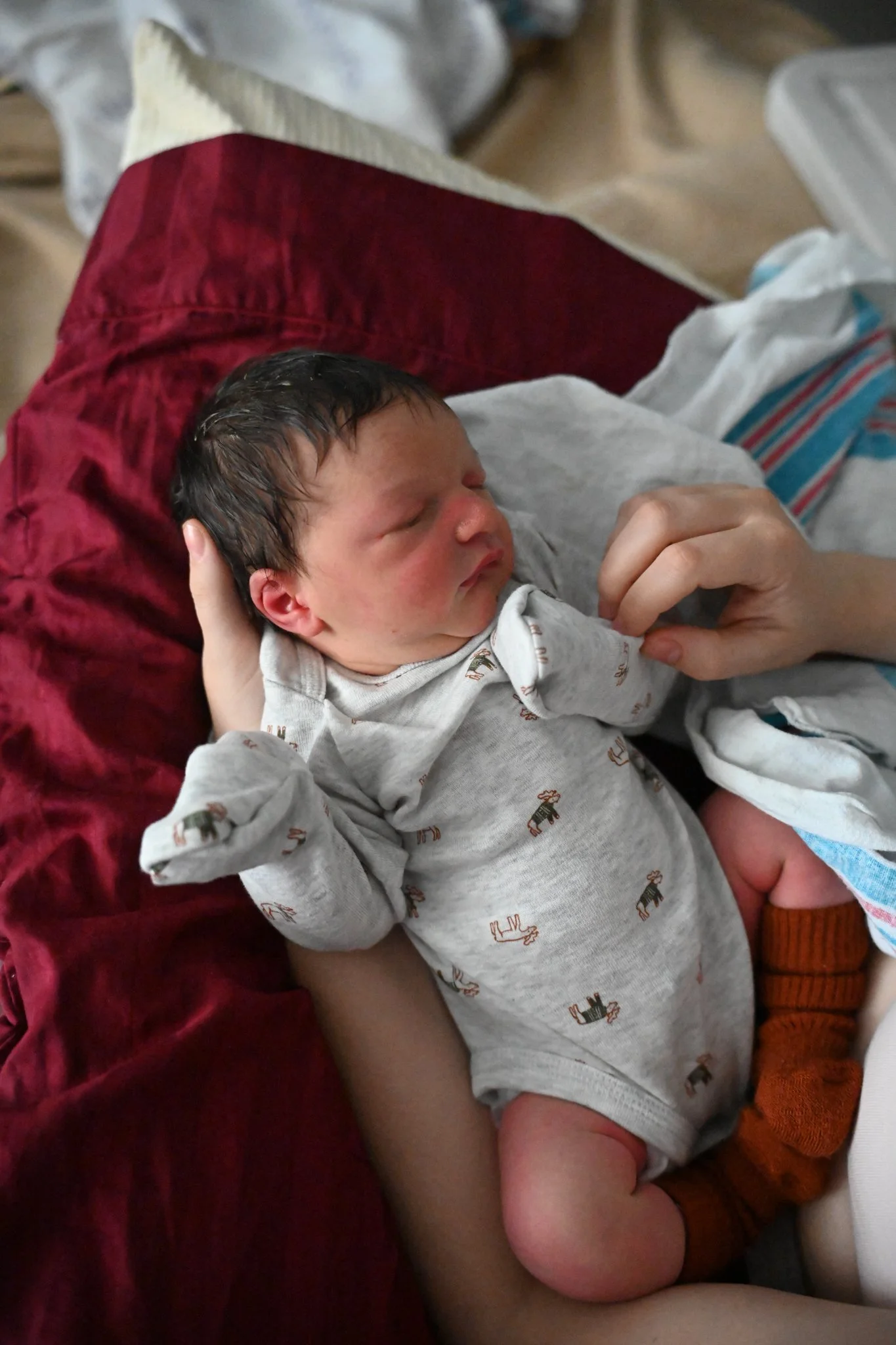 declan_website-1.jpg