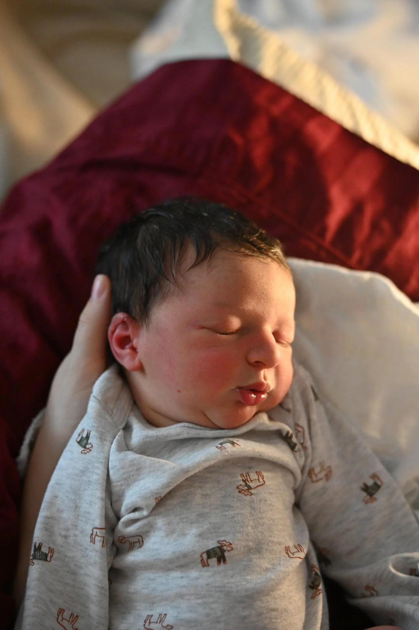 declan_website-4.jpg