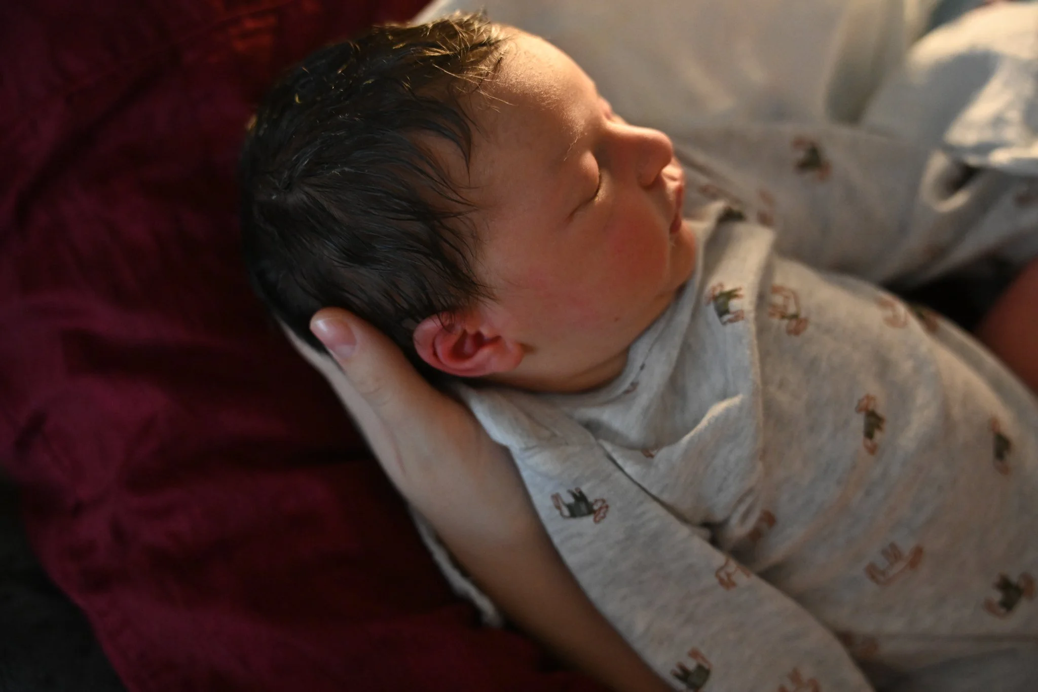 declan_website-3.jpg