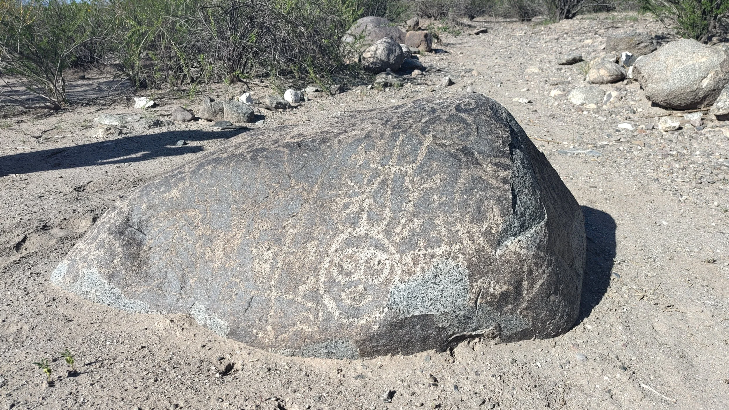 Ein großer Felsen auf trockenem Boden mit eingeritzten Linien oder Symbolen, umgeben von kleineren Steinen und Buschwerk in einer Wüsten- oder Trockengegend.
