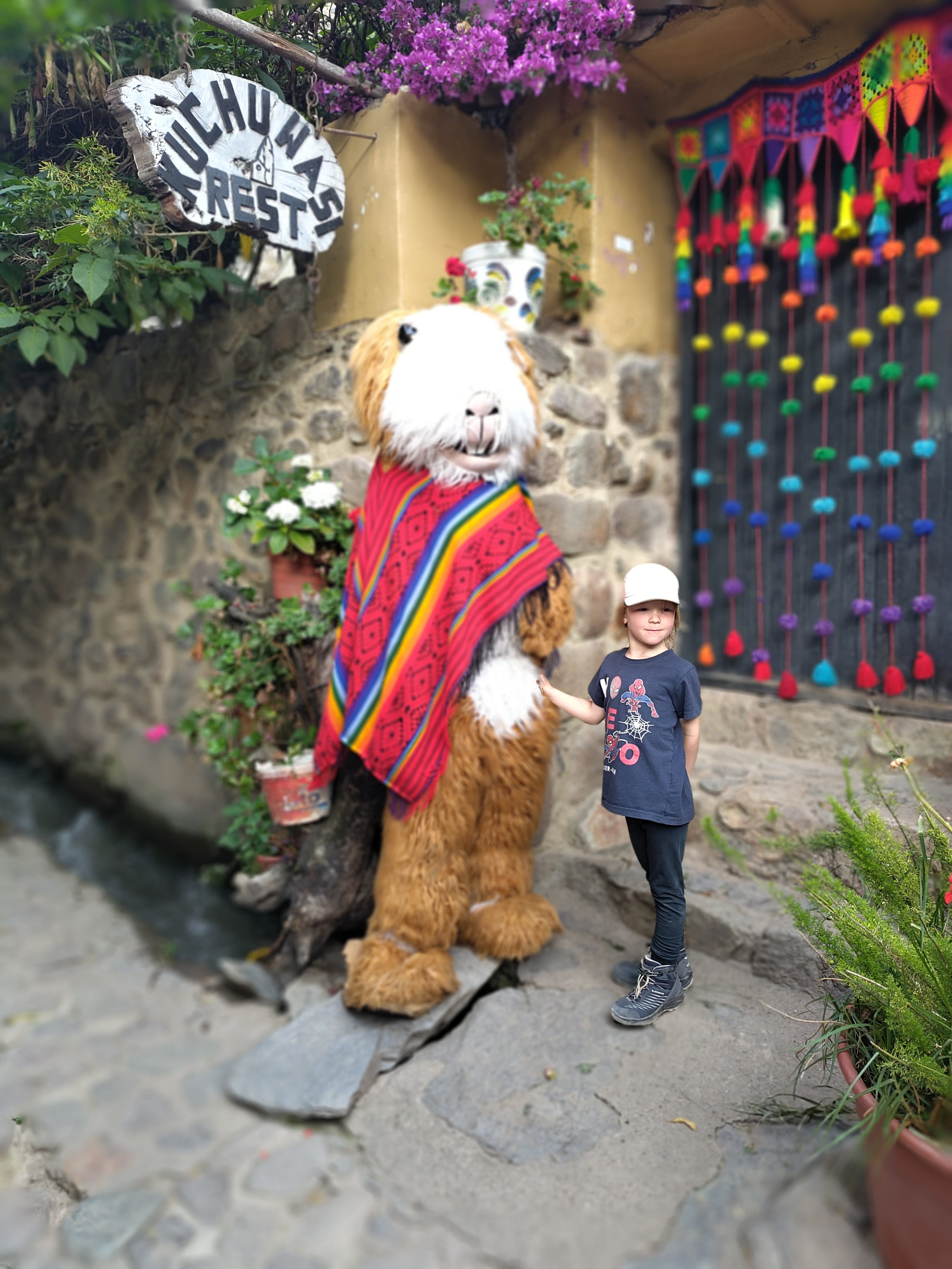 IMG_20251216_170711.jpg