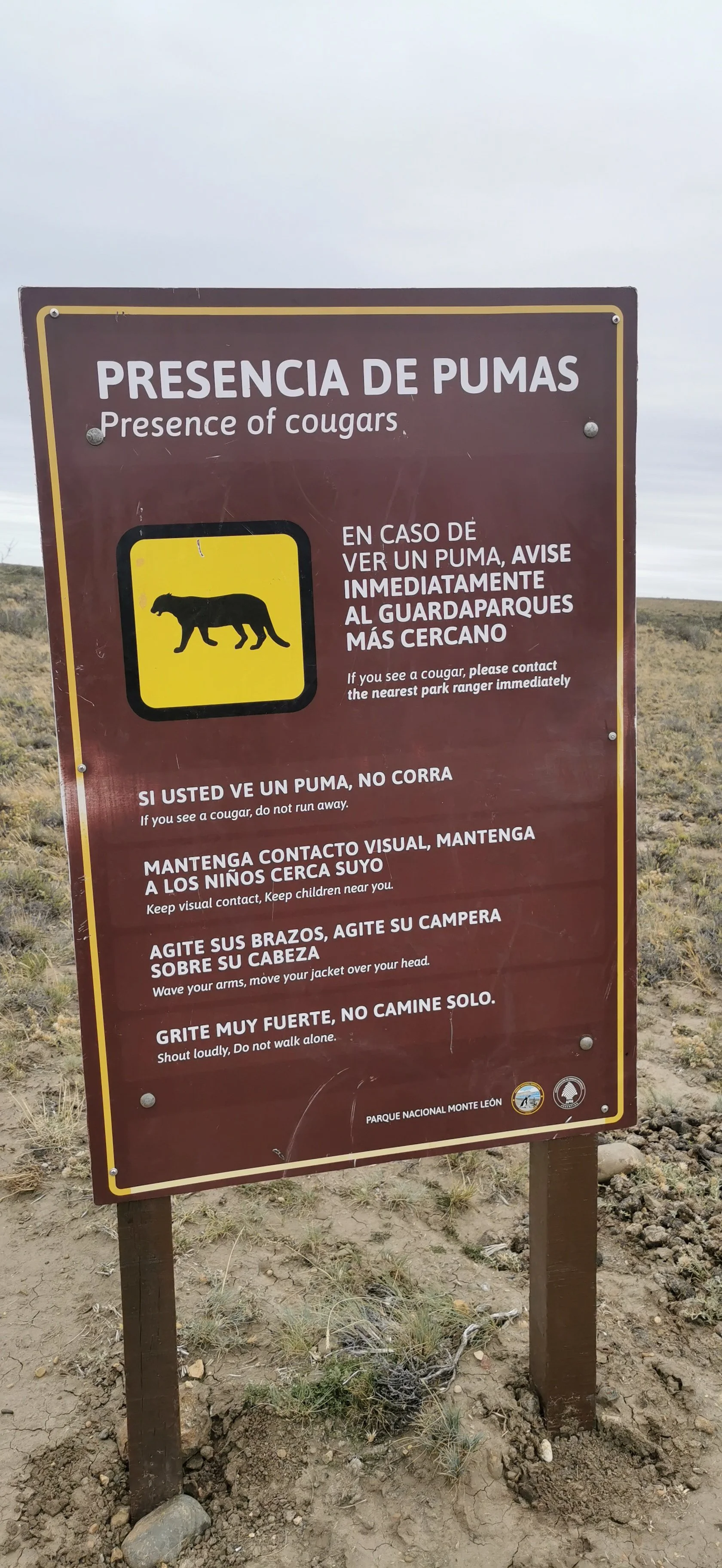 IMG_20240215_114237.jpg