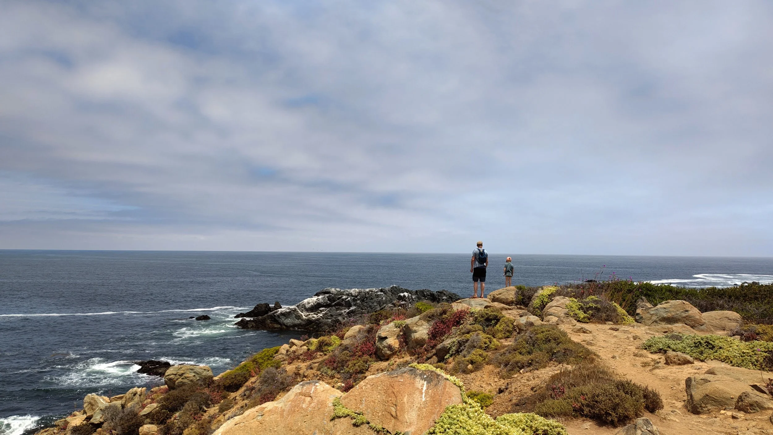 Zwei Menschen stehen auf einem Felsen und schauen aufs Meer, die Umgebung ist bewachsen mit bunten, kurzgewachsenen Pflanzen, der Himmel ist überwiegend bewölkt.