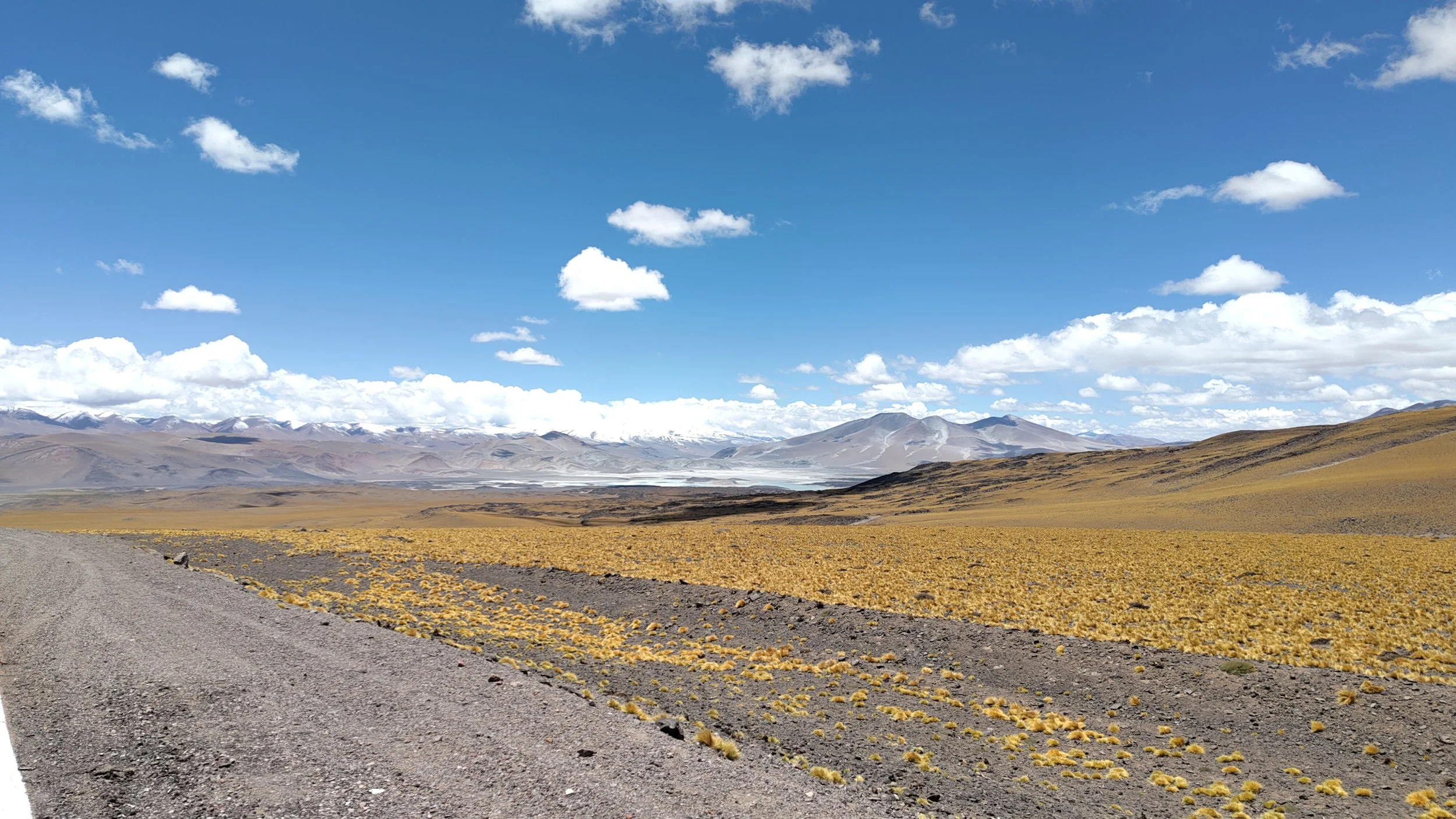 Landschaft mit einer graveligen Straße im Vordergrund, gelben Pflanzen im Boden, weiten Ebenen und Bergen im Hintergrund, blauer Himmel mit Wolken.