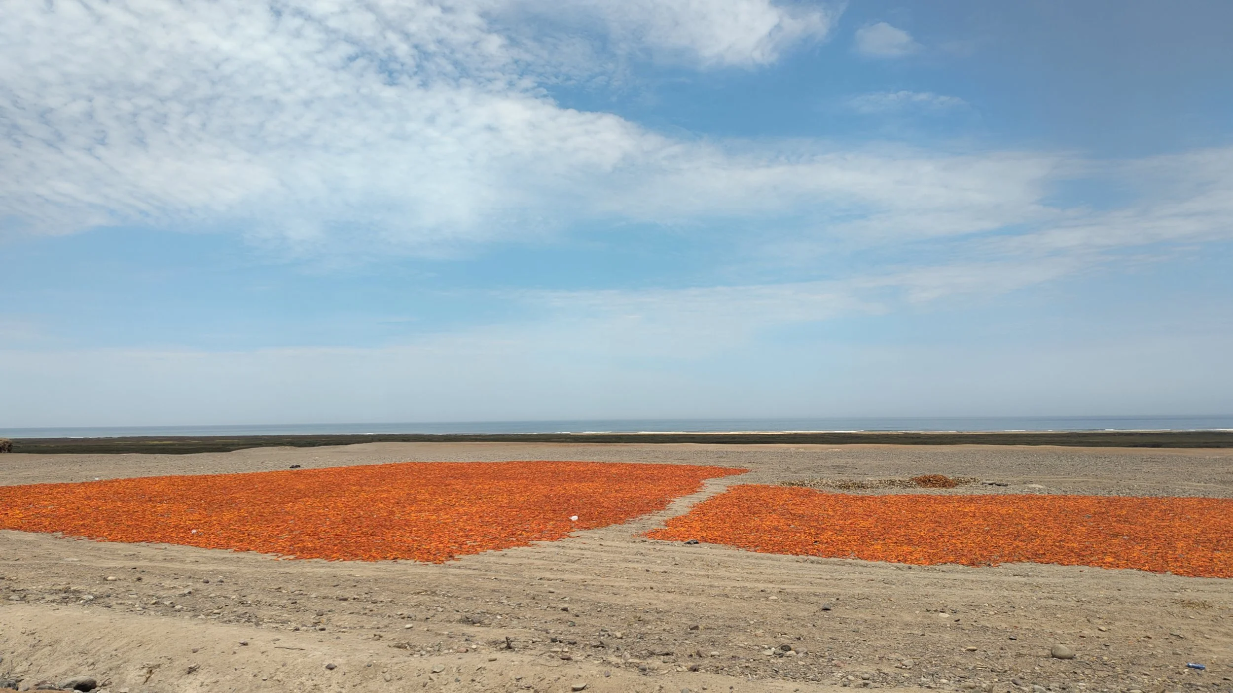 Ein Strand mit orangefarbenem, getrocknetem Meeresschlick, im Hintergrund das Meer und ein blauer Himmel mit wenigen Wolken.