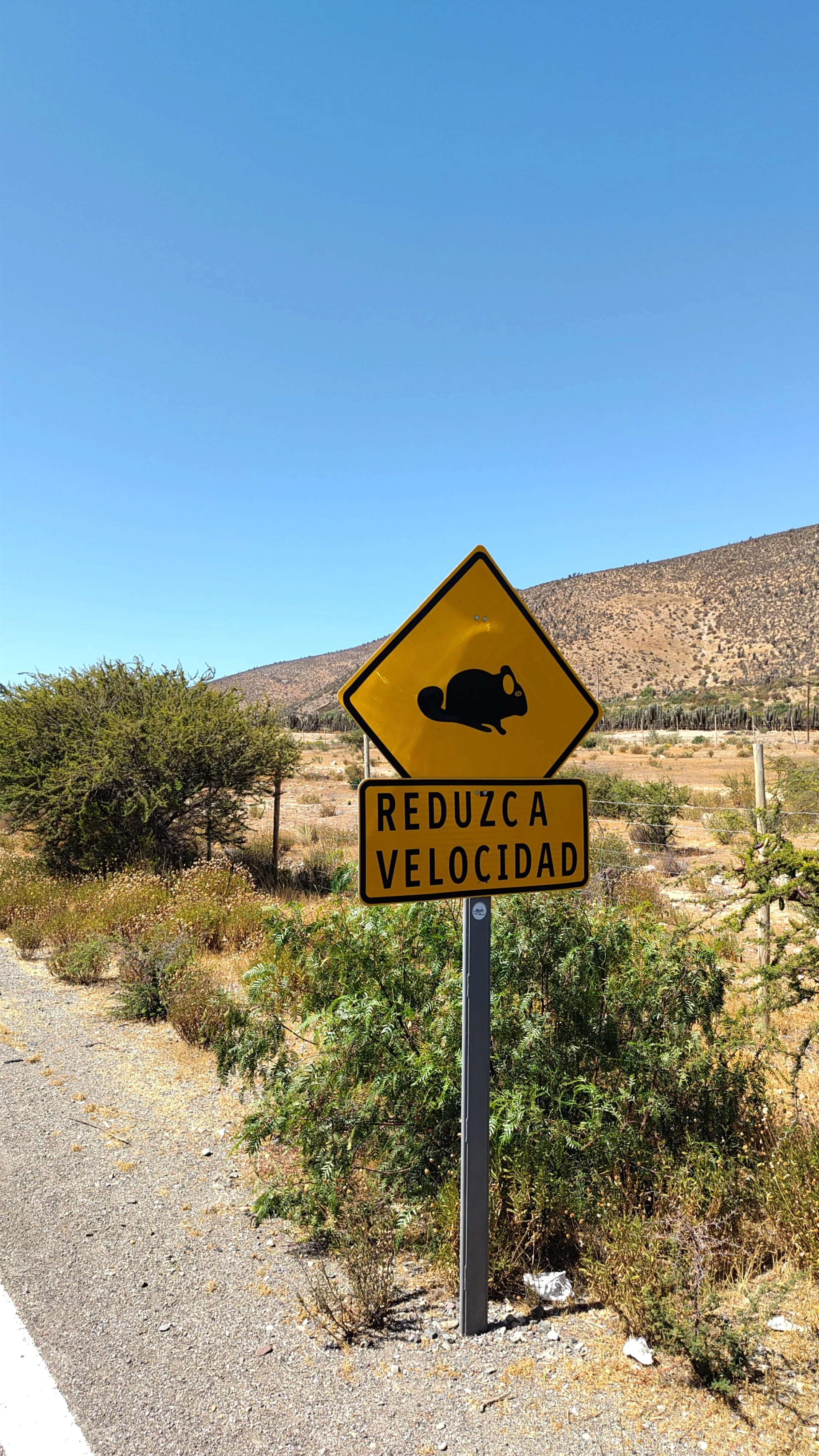 Straßenschild mit einem Maus-Symbol und der Aufschrift 'Reduzca Velocidad' in einer Wüstenumgebung mit Buschwerk und Bergen im Hintergrund.