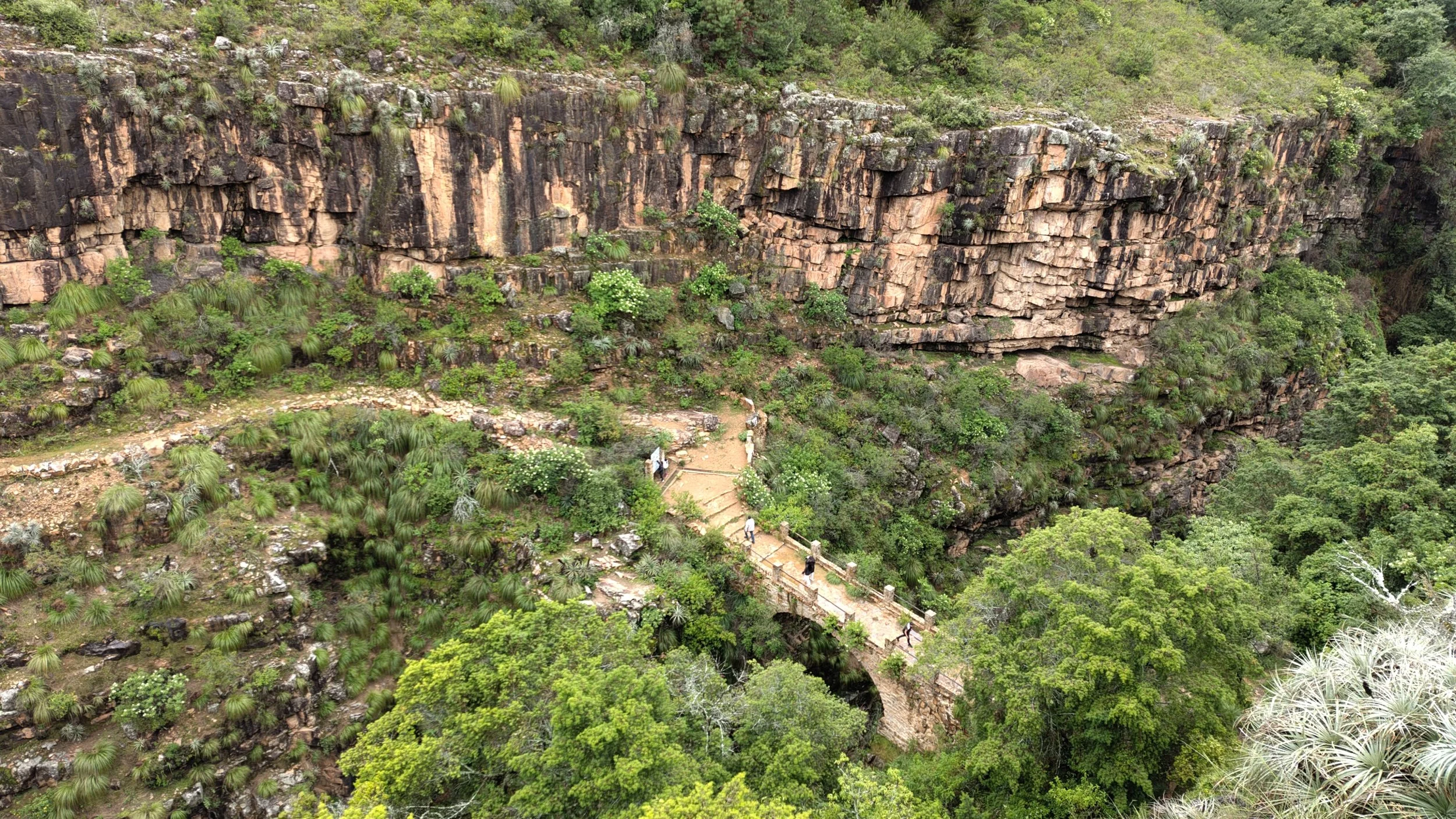 Wanderweg führt durch grünen Dschungel zu einer hohen Klippe mit Felsen und Pflanzen.