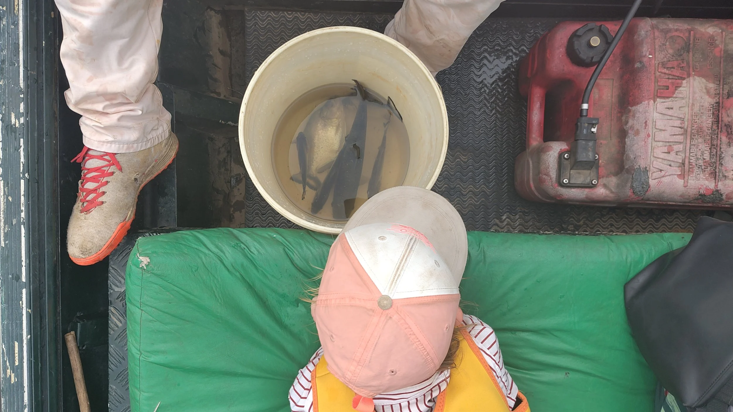 Auf einem Boot stehen zwei Menschen, die Fische in einer Kühlbox mit Wasser haben. Es sind vier Fische sichtbar in der Box.