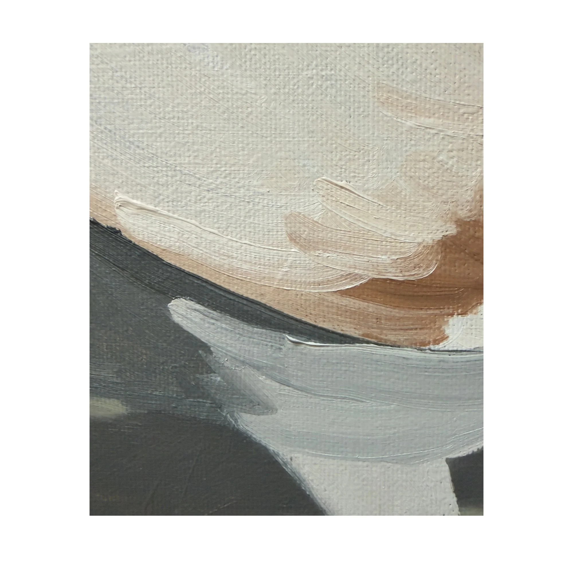 BORDERdetail3.jpg