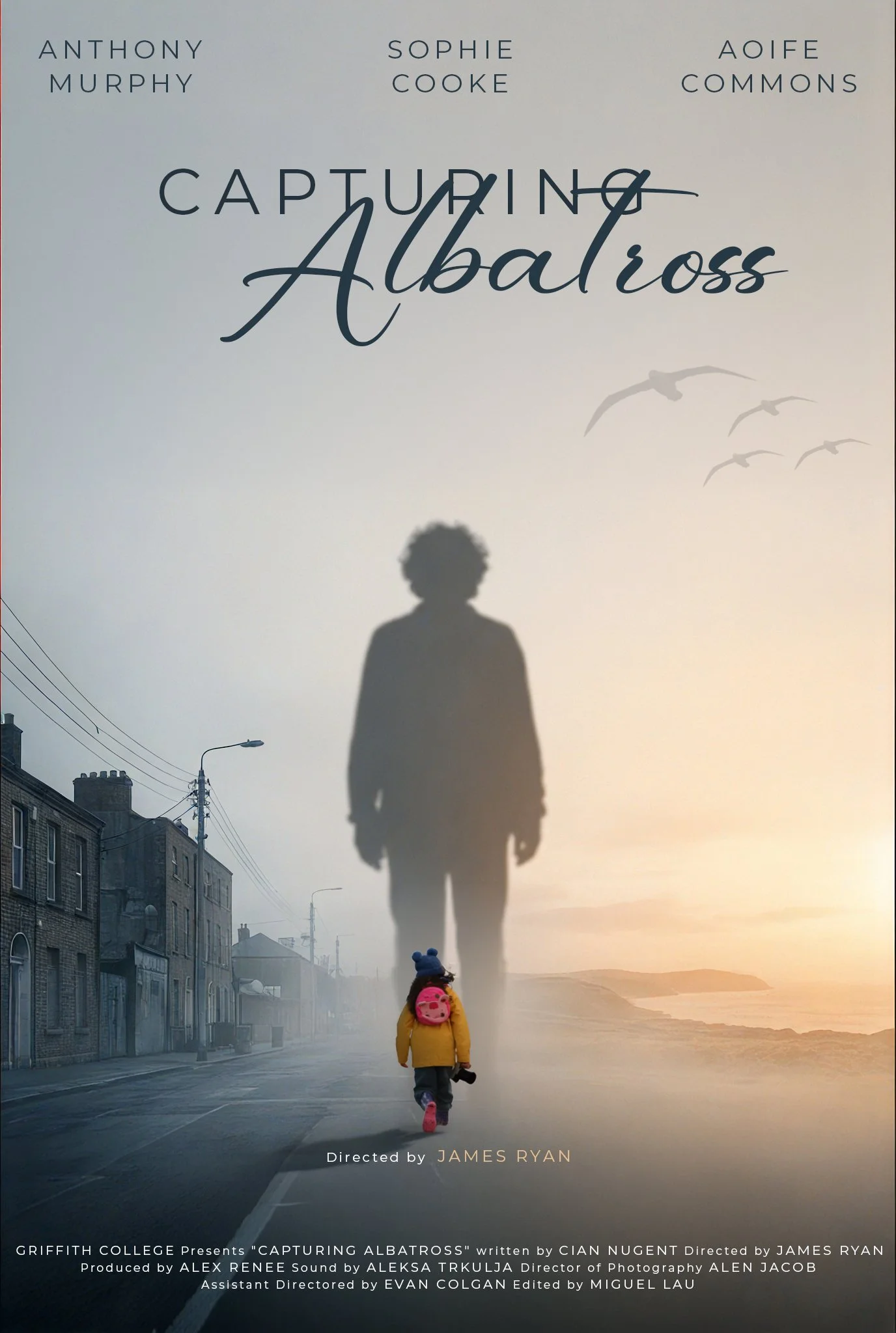 Short Film - Capturing Albatross