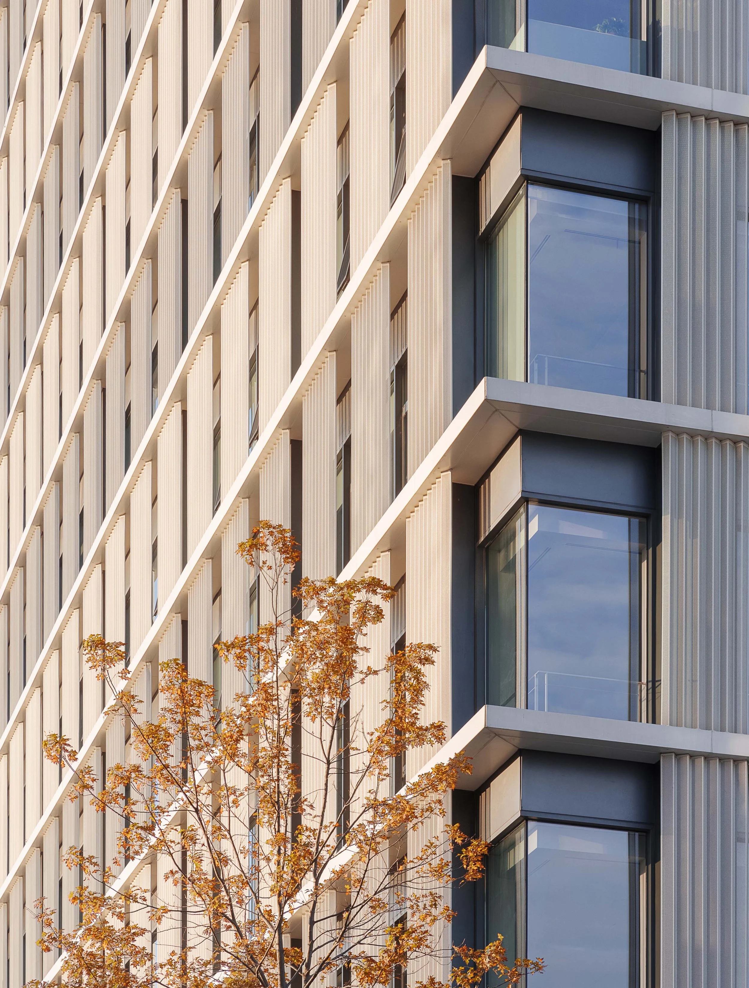 bei studio x Zhangrun Office Buildings 10.jpg