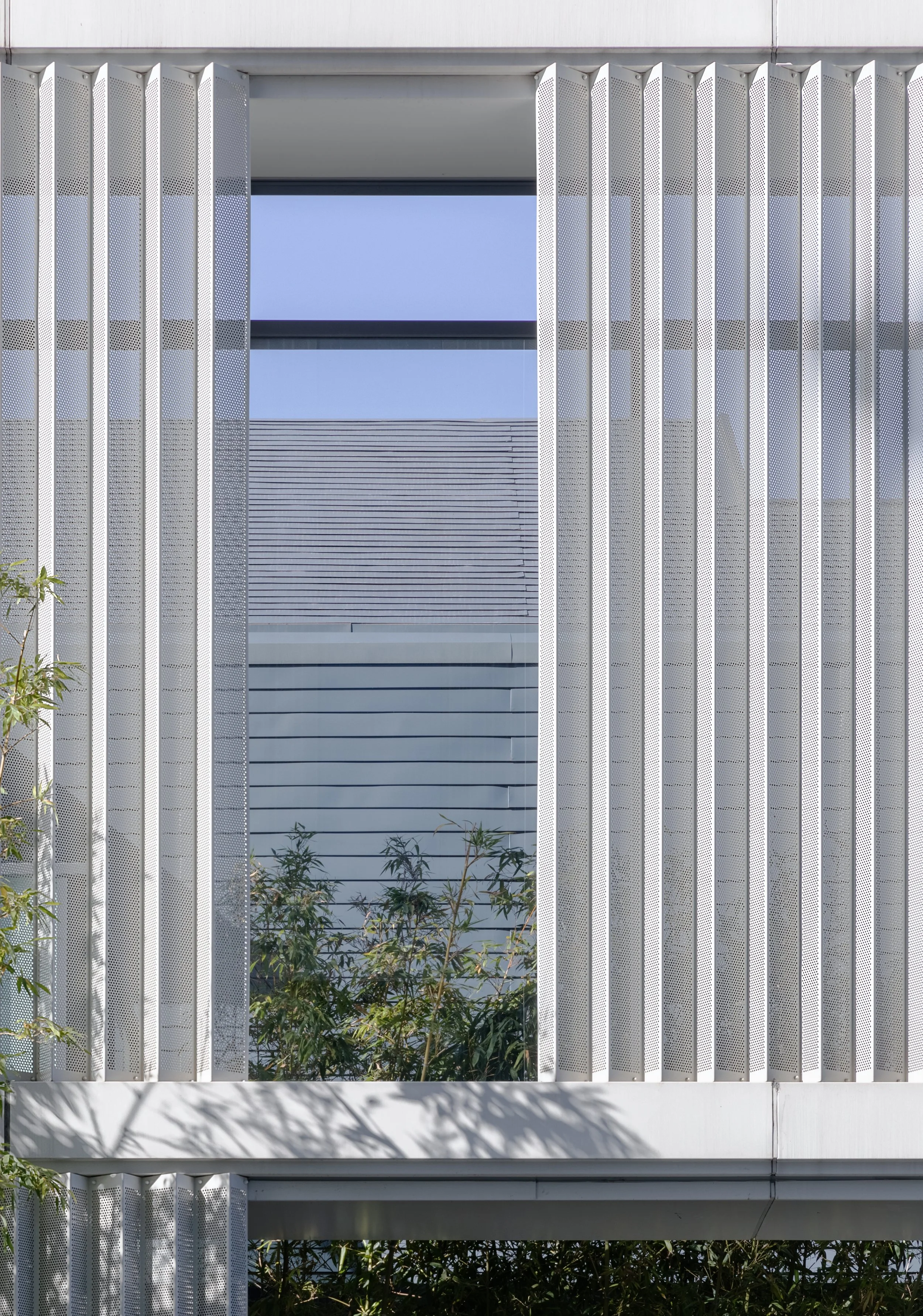Vista de un edificio moderno con ventanas y paredes de color gris, rodeado de plantas verdes y sombras proyectadas por las estructuras del edificio.