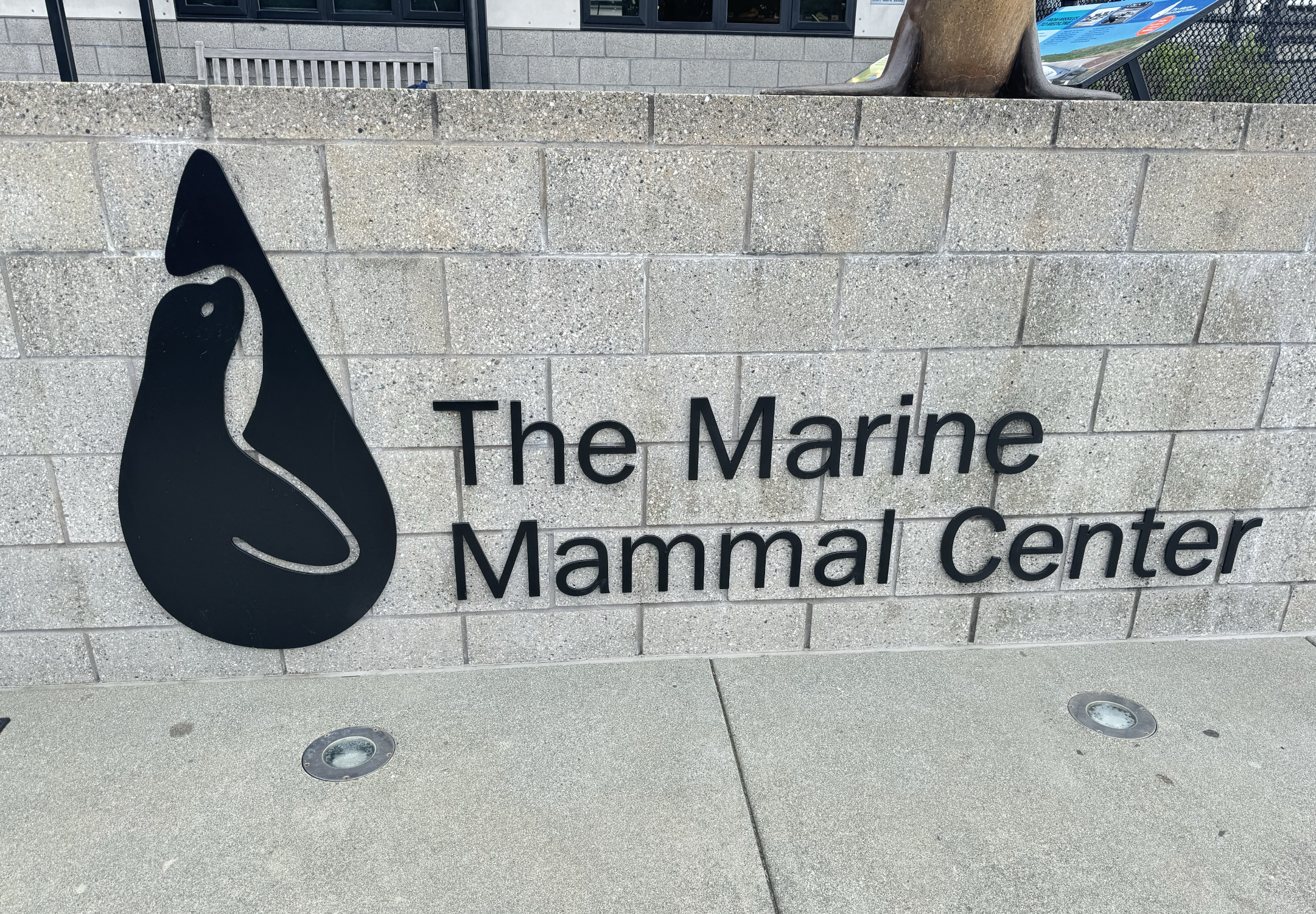 Pacific American Group Sustainability Partner: The Marine Mammal Center