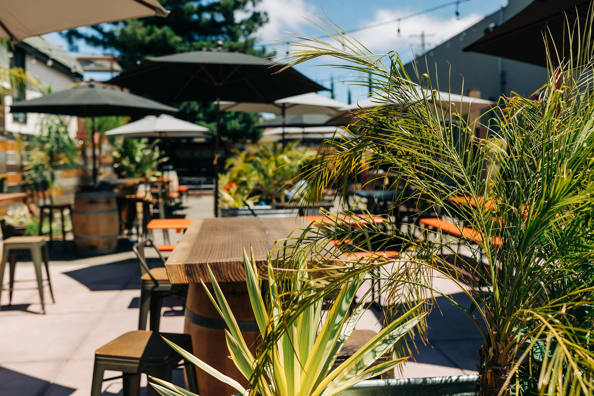 Pacific American Group | Commercial Properties | 7380 Redwood Boulevard, Novato, CA | 4,830 sq. ft. | Patio View