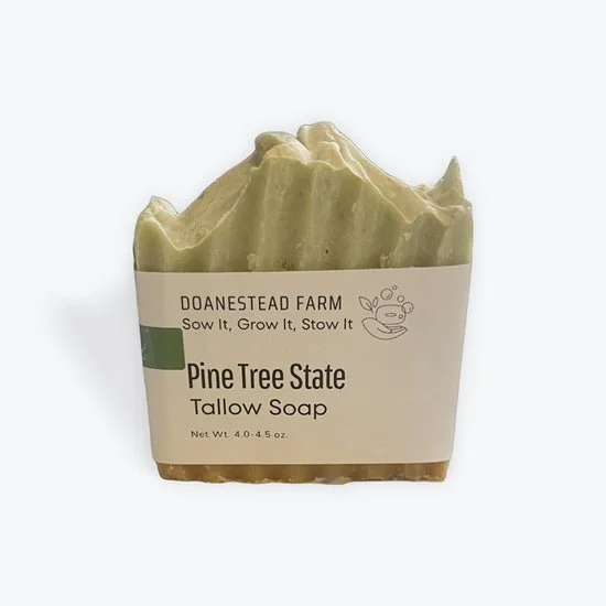 pine tree state.jpeg