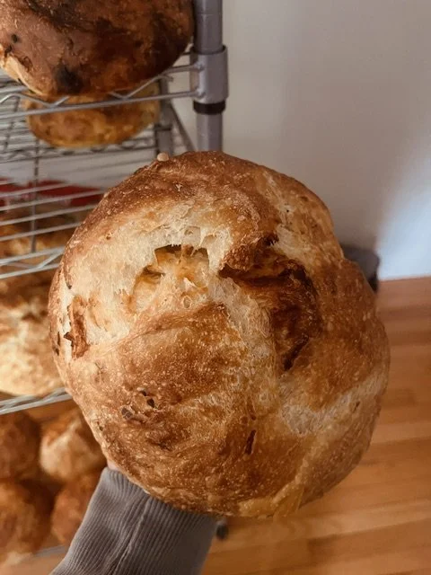 Close-up of a person's hand holding a round, golden-brown bread roll with a slightly uneven surface and a small crack on top.