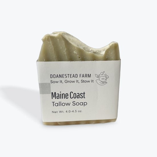 maine coast.jpeg