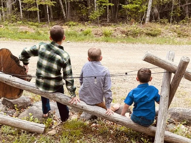 Three boys sitting on a log fence in a forested area, facing away from the camera.