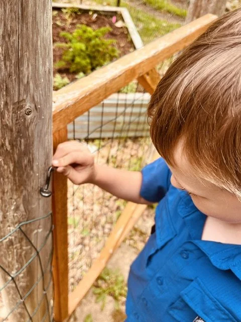 A young boy in a blue shirt opening a latch on a wire fence outside, with a wooden structure and greenery in the background.
