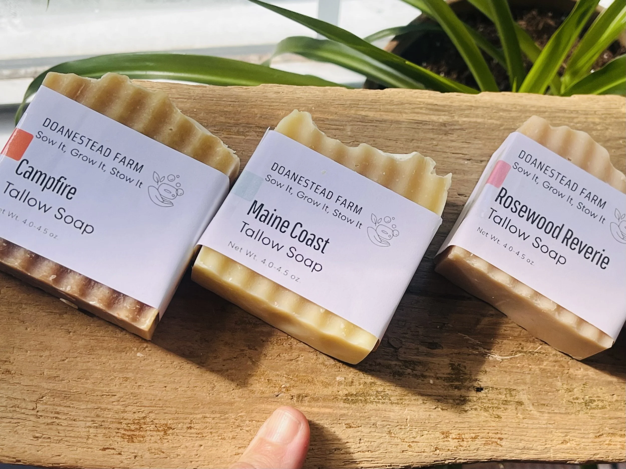 Tallow Soaps (~ 4.5 oz.)
