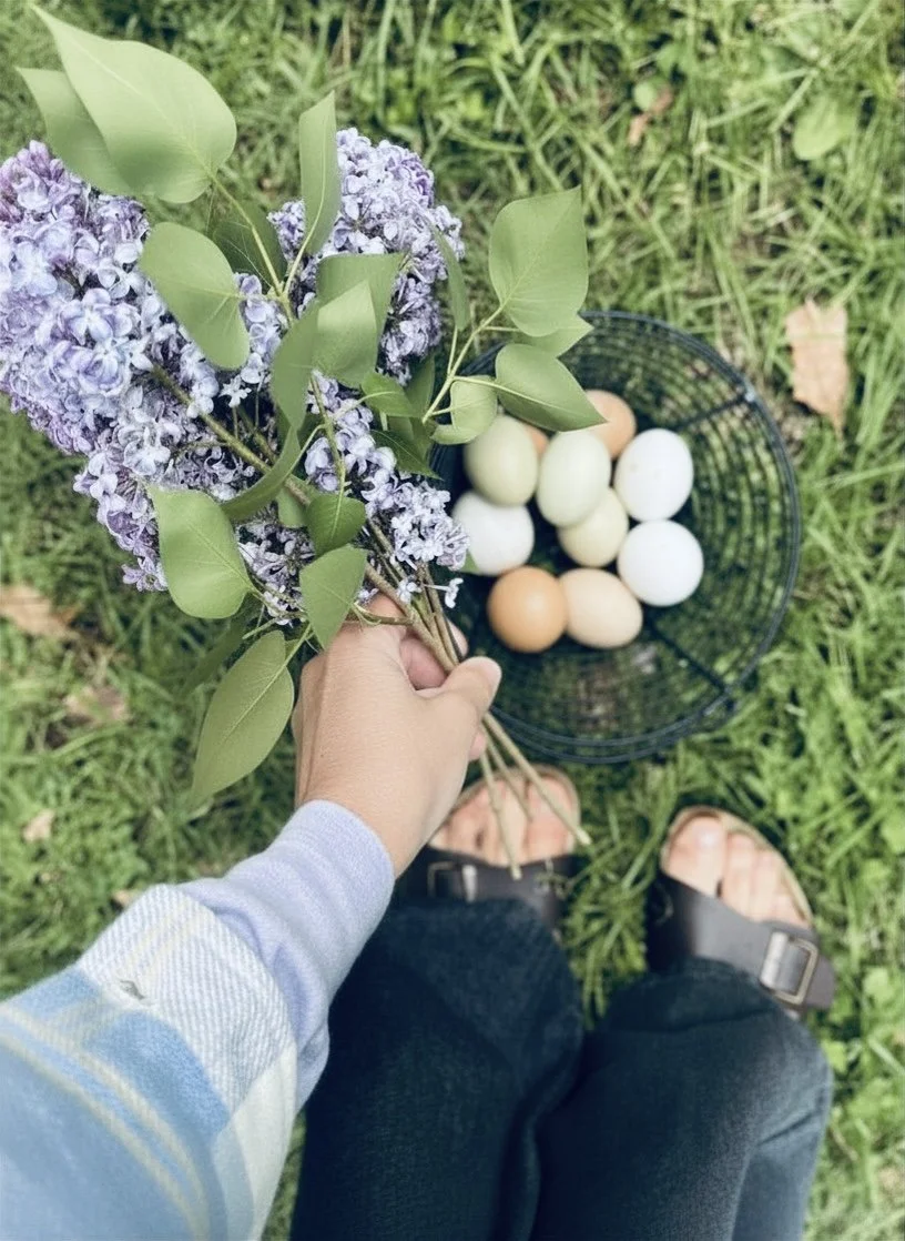 Person holding a bouquet of purple lilacs with green leaves, standing outdoors on grass, with a black basket of white and brown eggs on the ground.