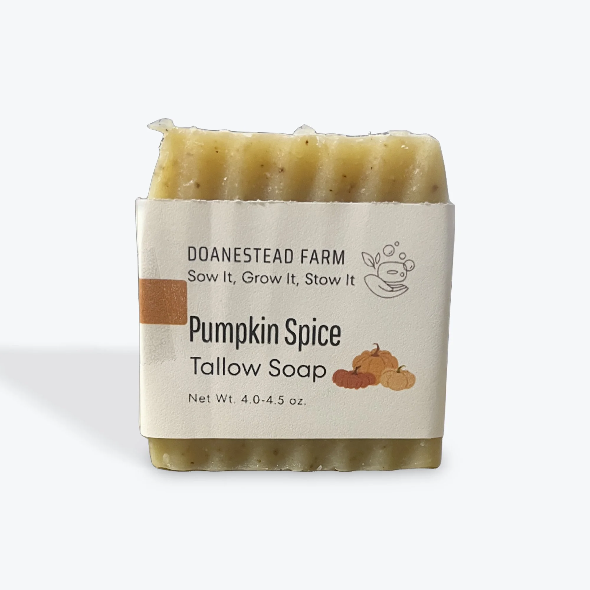 pumpkin spice.jpeg