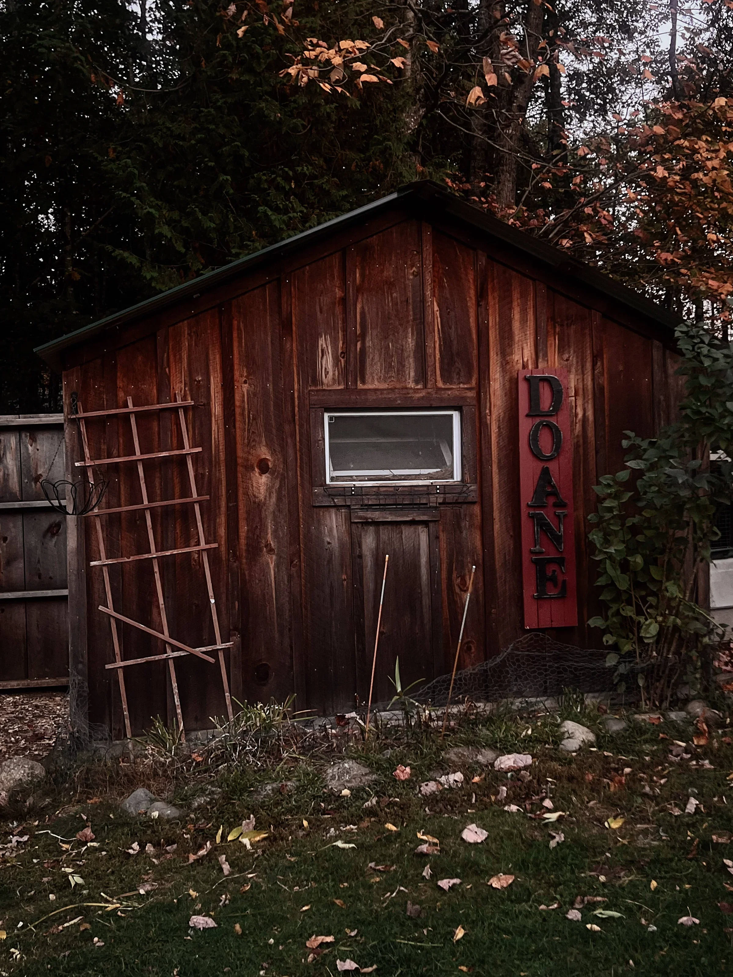 A wooden shed with a small window and a vertical sign that reads 'OAS' in black letters on a red background. The shed is surrounded by a garden with some dead leaves and branches, and a wooden trellis leaning against the side. There are trees with autumn foliage in the background.