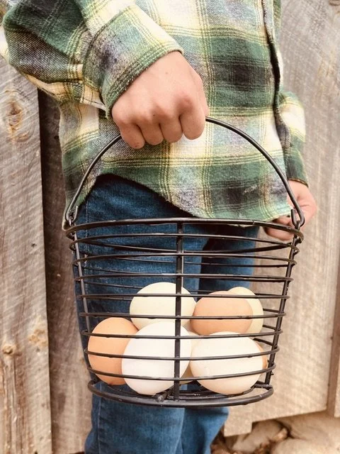 Person holding a black wire basket with six eggs inside, wearing a plaid shirt and jeans, against a wooden background.