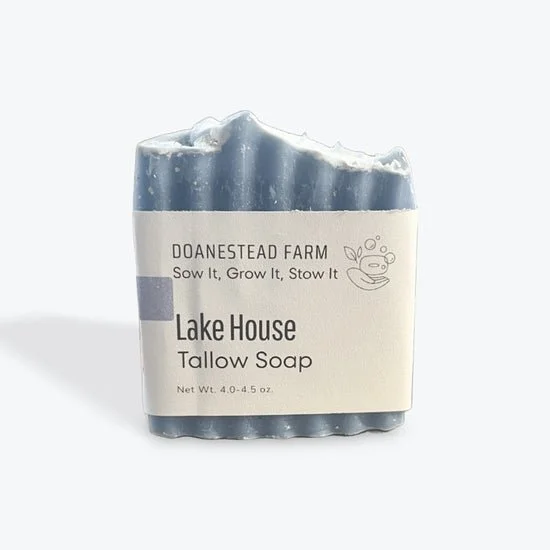 lake house.jpeg