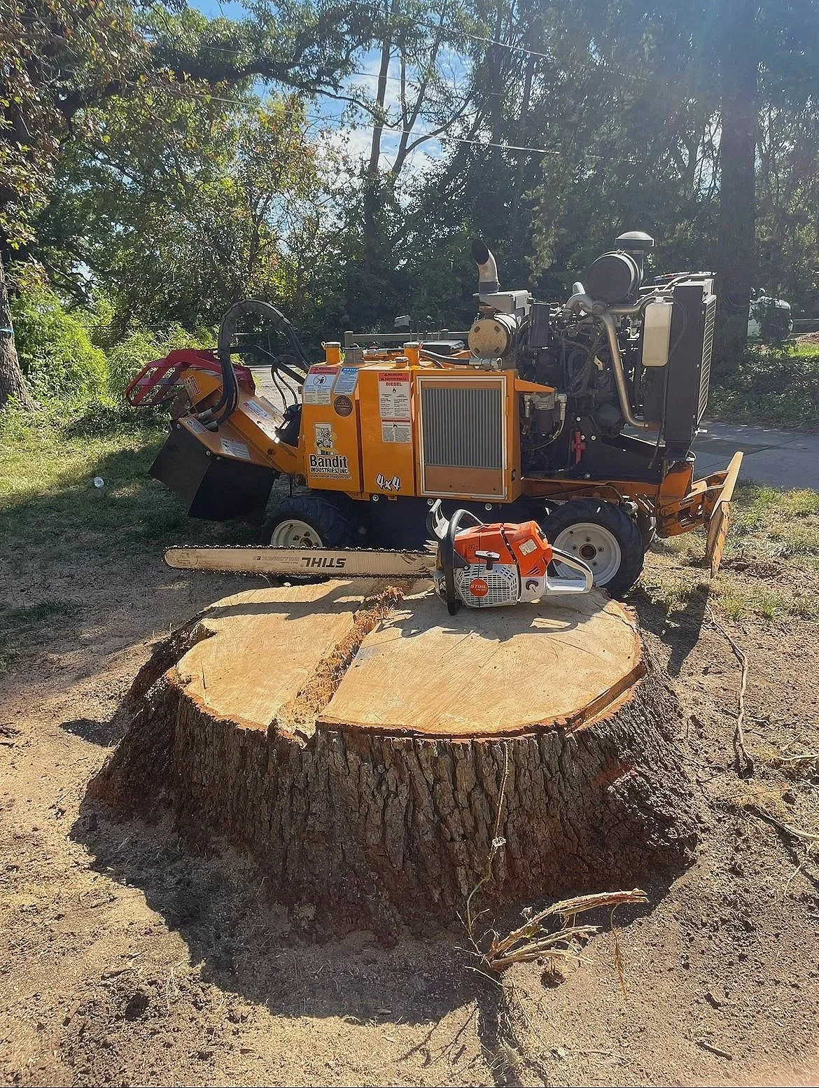 A large tree stump with a chainsaw resting on top, and a skid steer loader and a chainsaw in front of it outdoors on a sunny day with trees in the background.