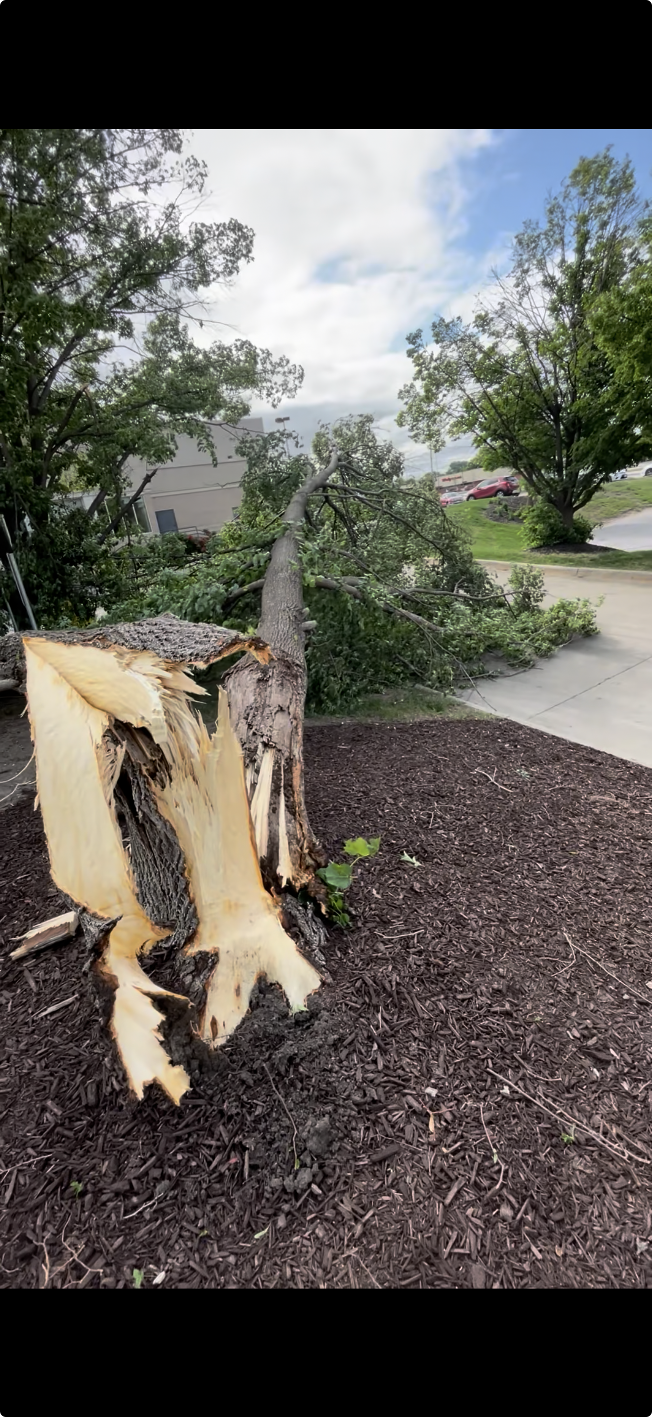 Emergency Storm Service