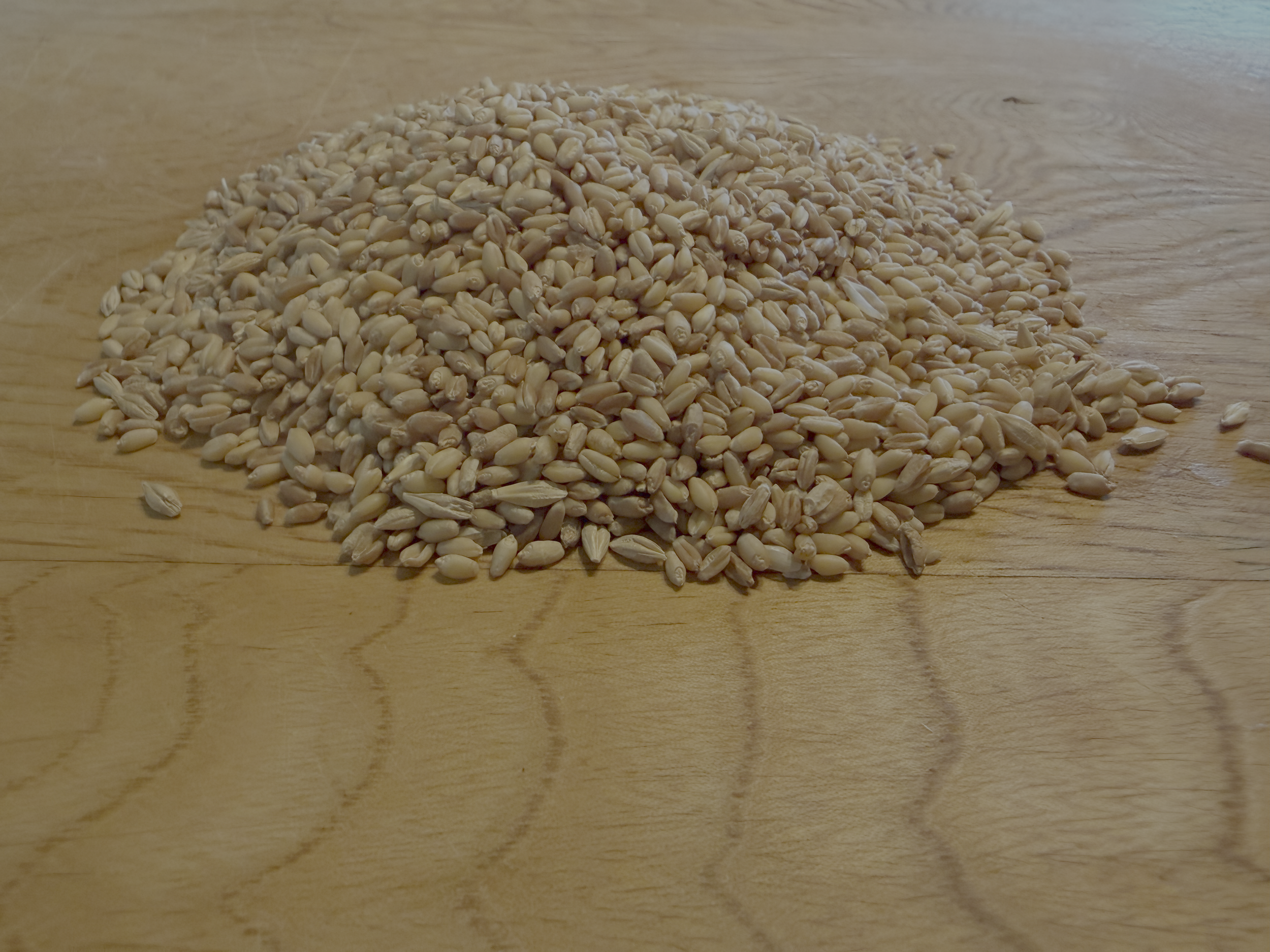 Red Fife_Sonoran Blend.png