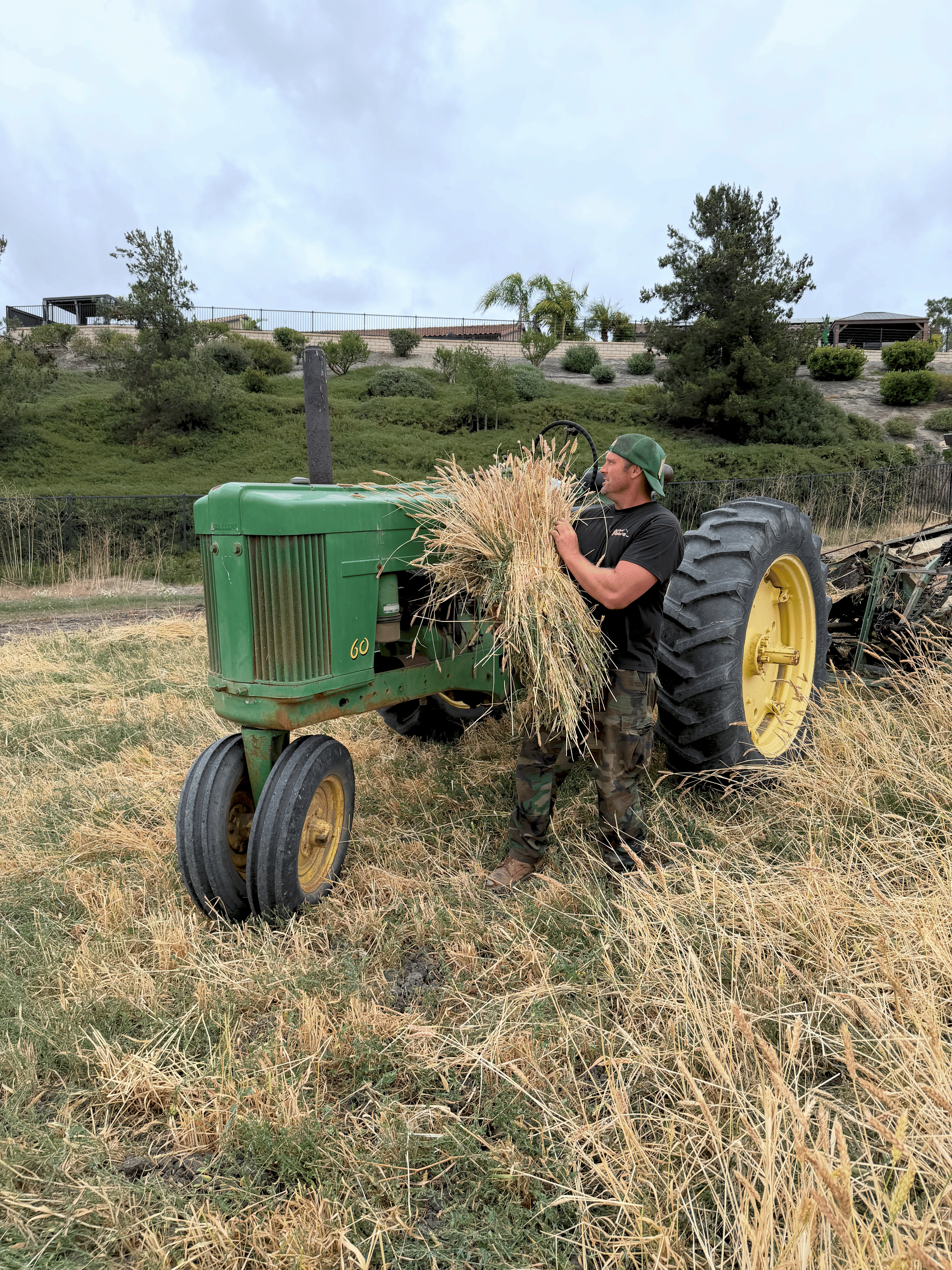 Tractor and wheat. Staff of Life Wheat. San Diego, California. Farmer, Miller and Baker working with the community to provide locally grown, locally milled, locally baked wheat.