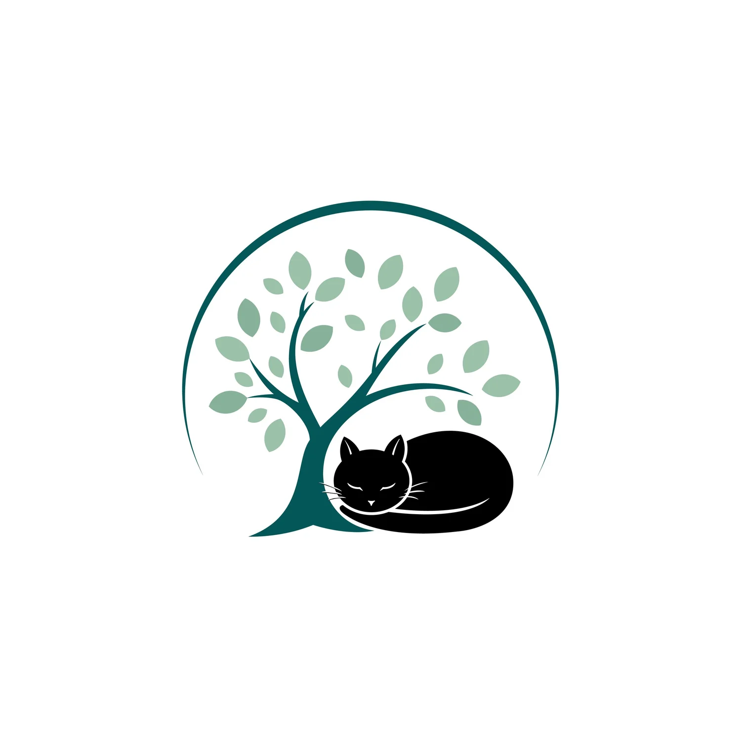 Black Cat Psychotherapy PLLC