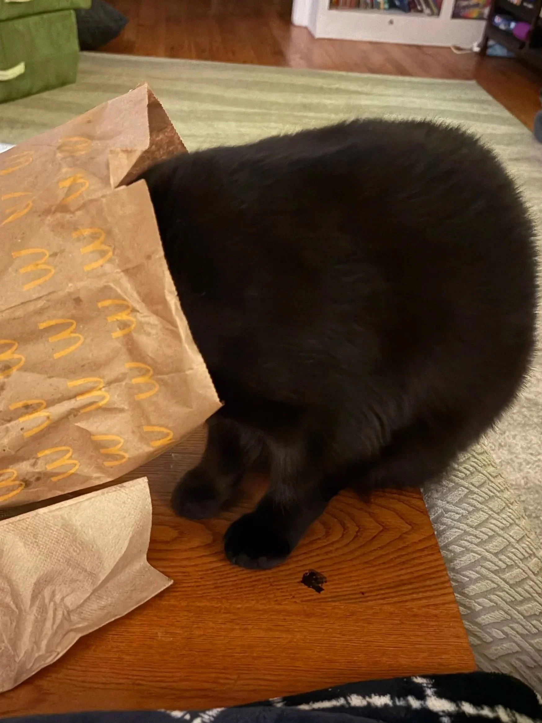 A black puppy with tan markings on its paws and face is sniffing or exploring a crumpled paper bag on a wooden table. The background shows a hardwood floor, a green chair, and a shelving unit with books and other items.
