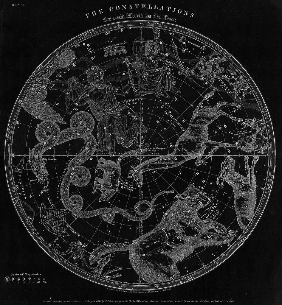 A black and white vintage star chart illustrating the constellations for each month of the year. It features detailed depictions of the mythological figures representing the constellations, such as a lion, a horse, and a snake, surrounded by star patterns and other celestial symbols.