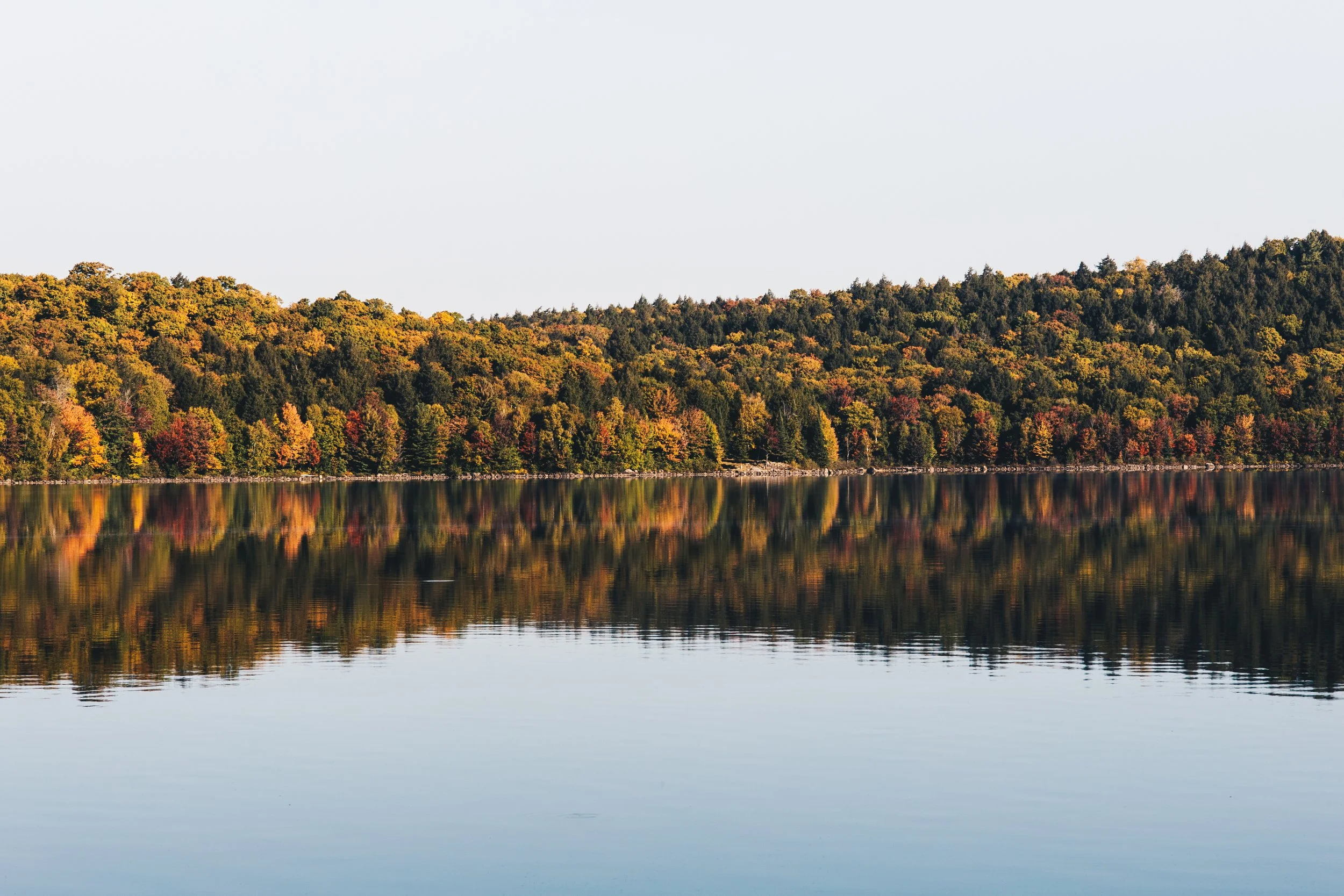 Scenic view of Algonquin Park wooded hillside with trees in fall colors, reflected in calm lake water, under a clear sky.