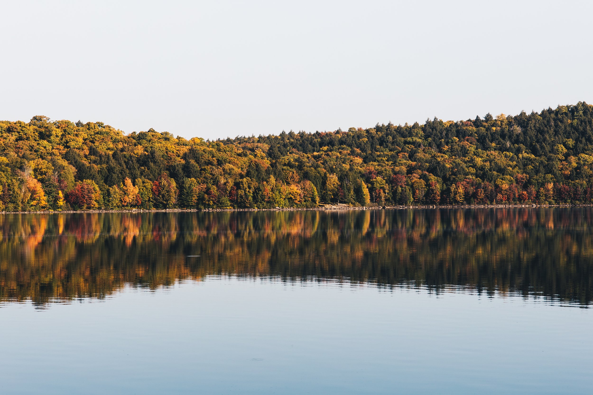 Algonquin24-67.jpg