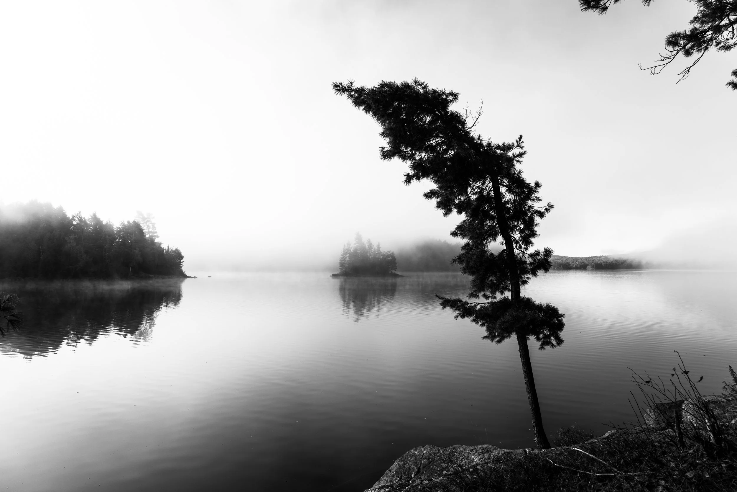 Algonquin24-56.jpg