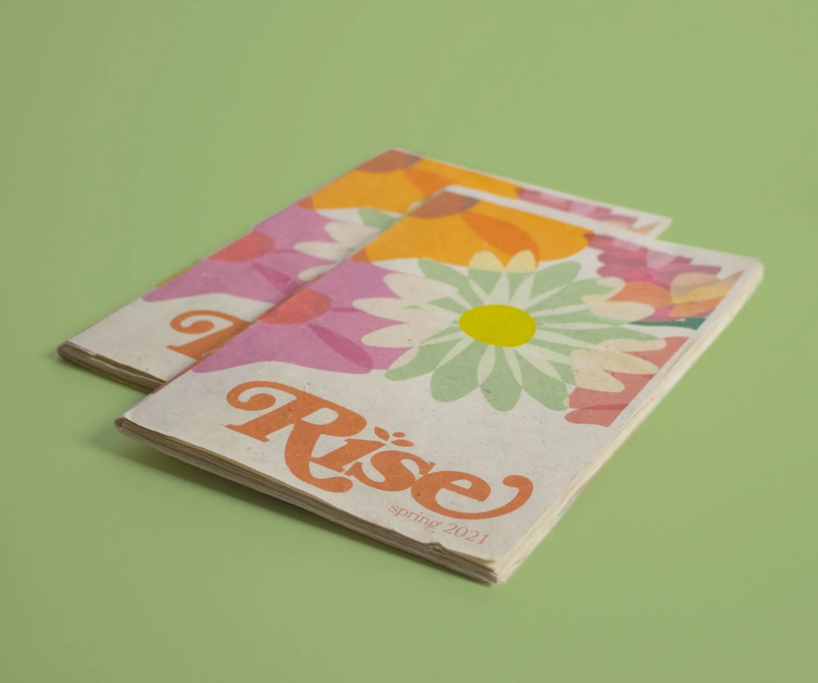 Rise Experimental Publication